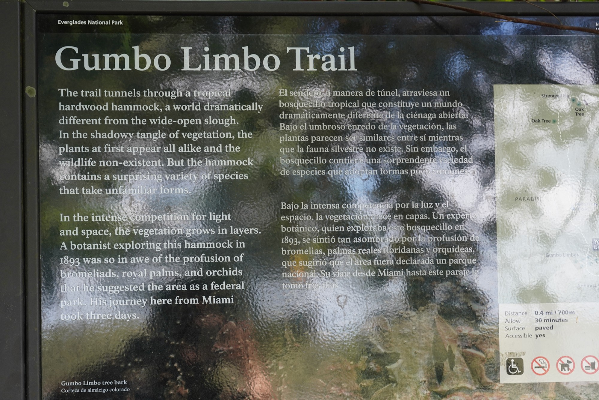 Everglades National Park (29)