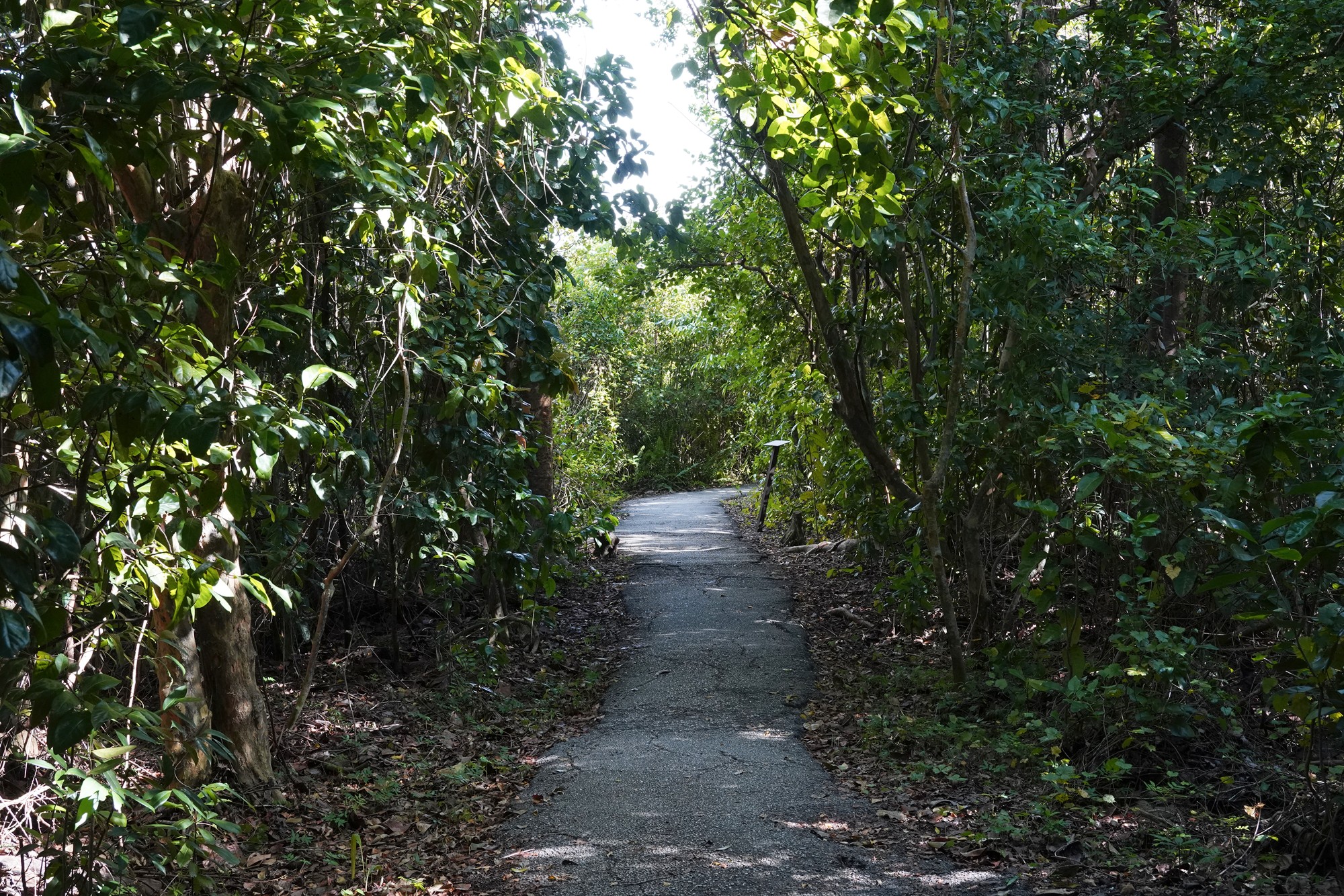 Everglades National Park (30)