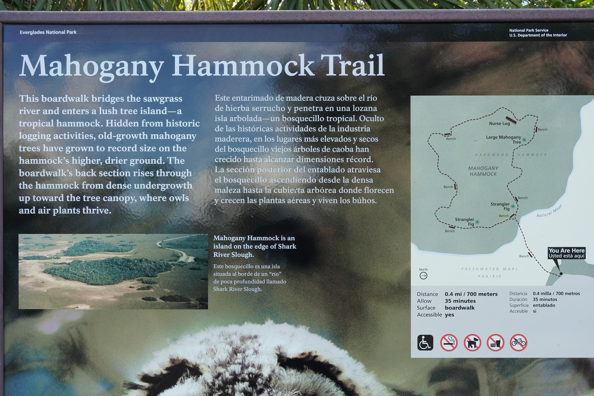 Everglades National Park (33)