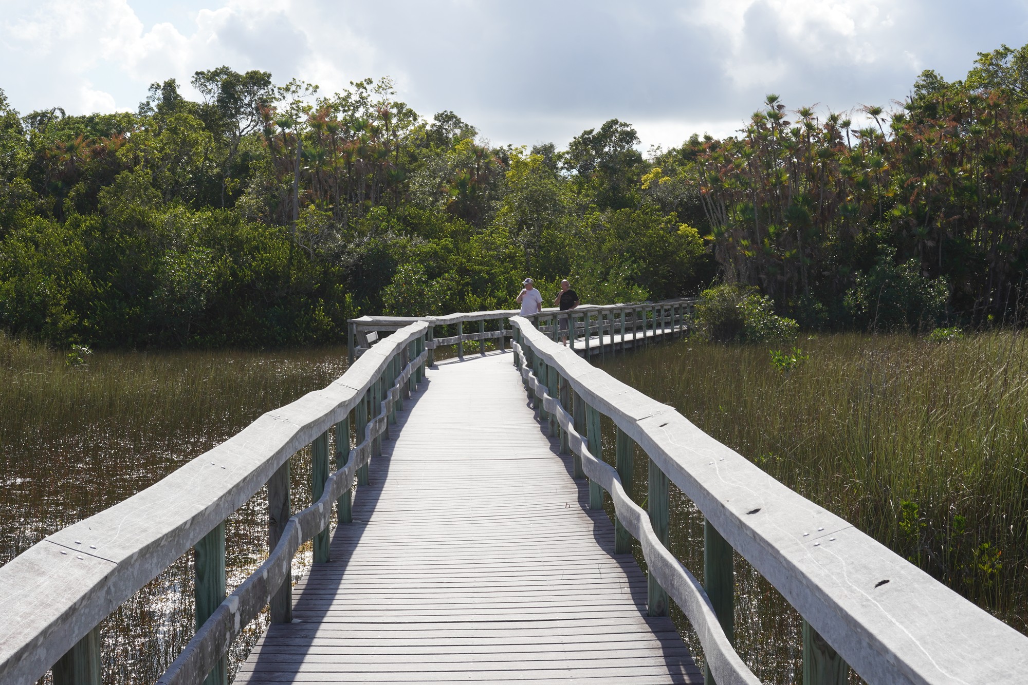 Everglades National Park (35)
