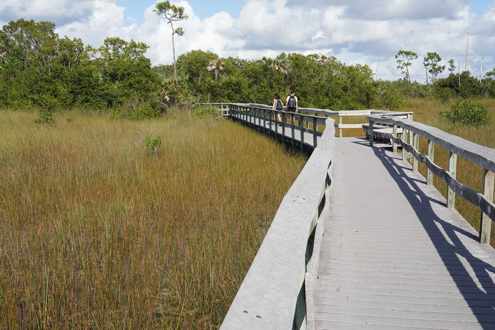 Everglades National Park (38)
