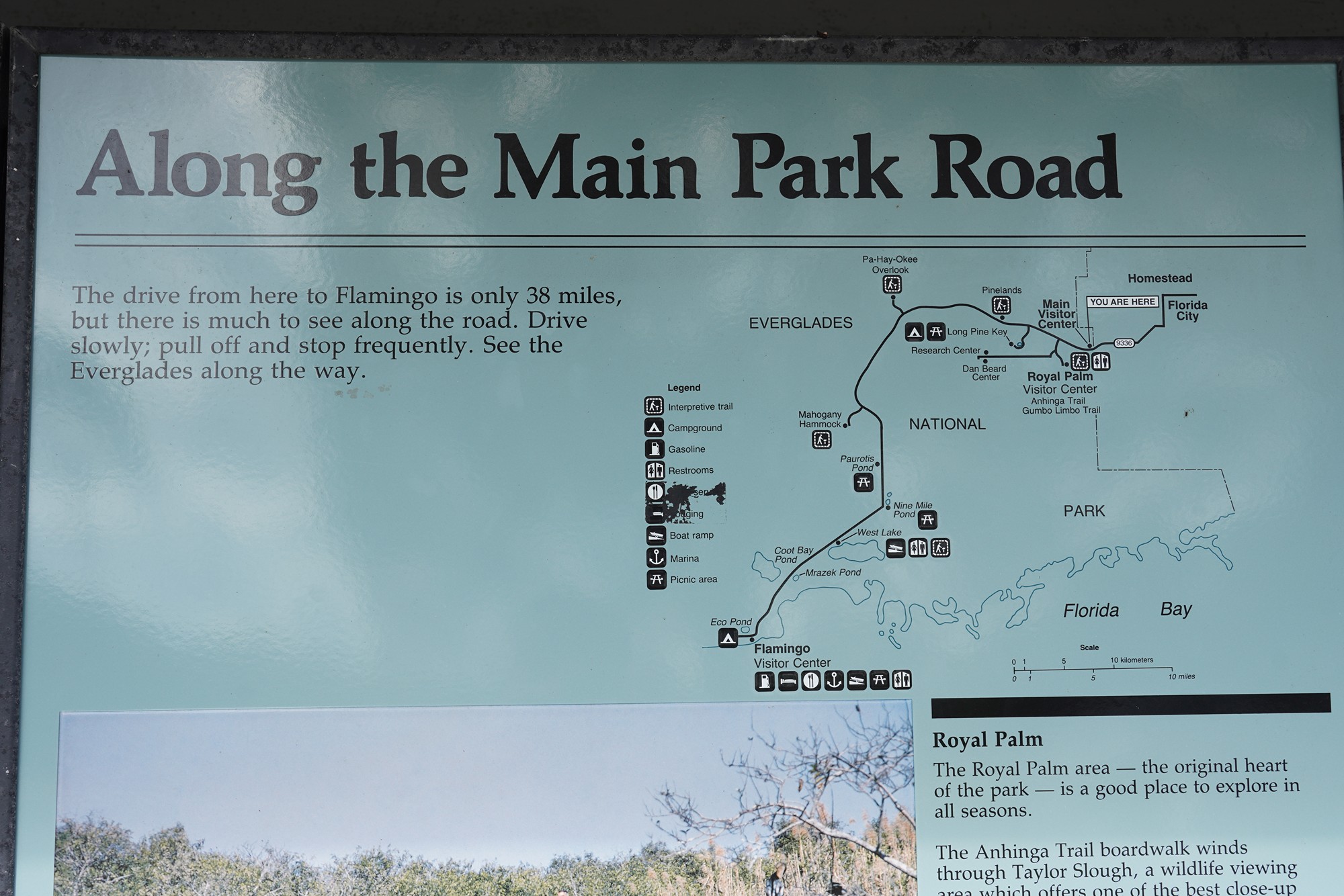 Everglades National Park (4)
