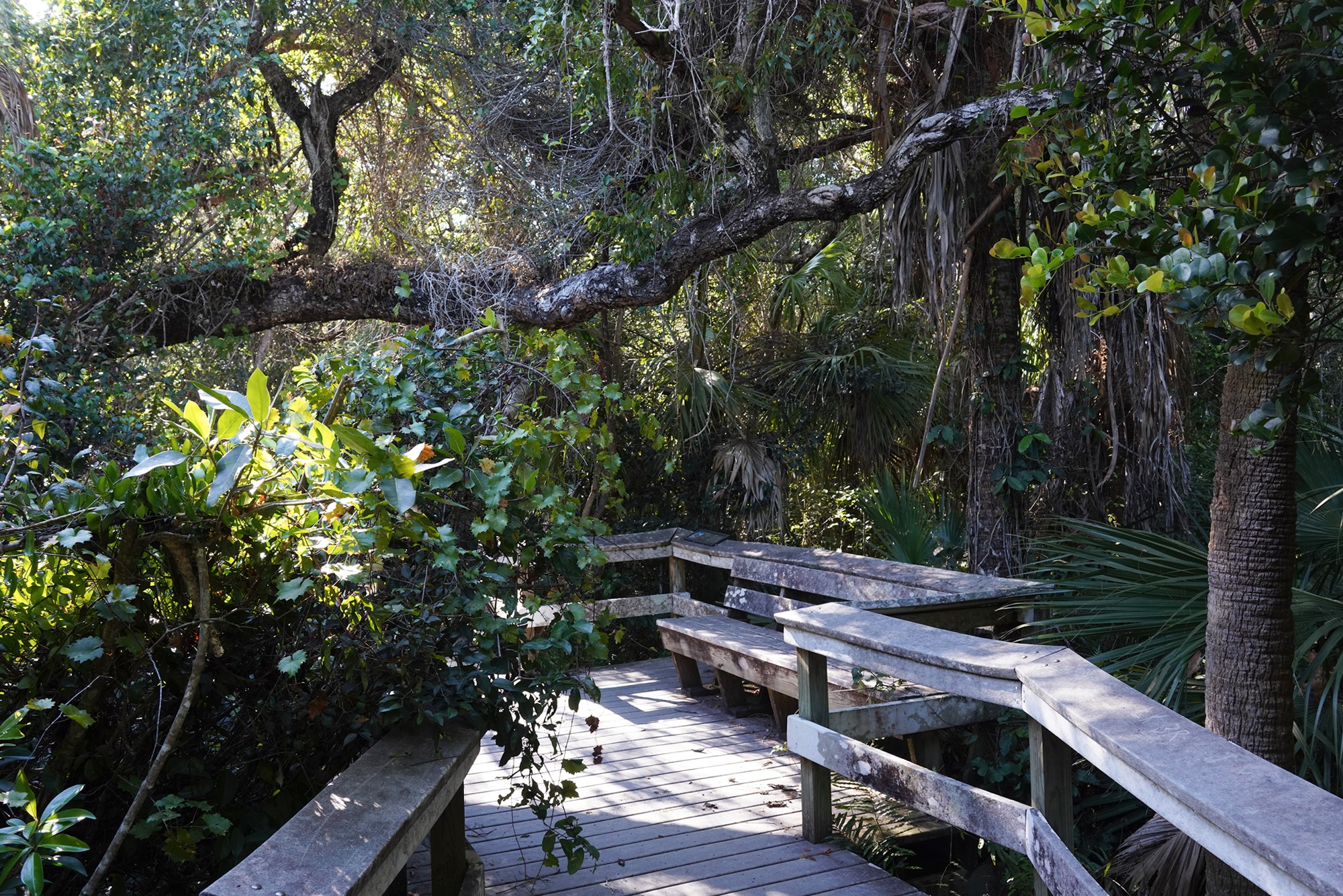 Everglades National Park (41)