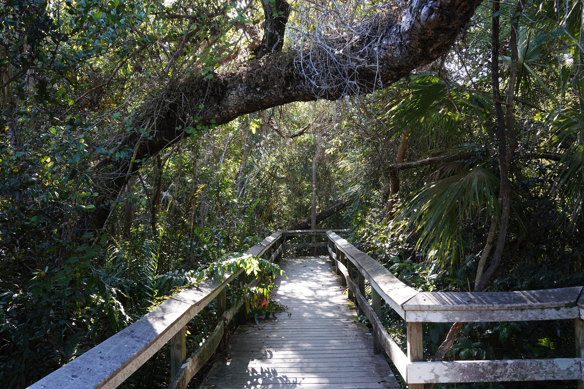 Everglades National Park (42)