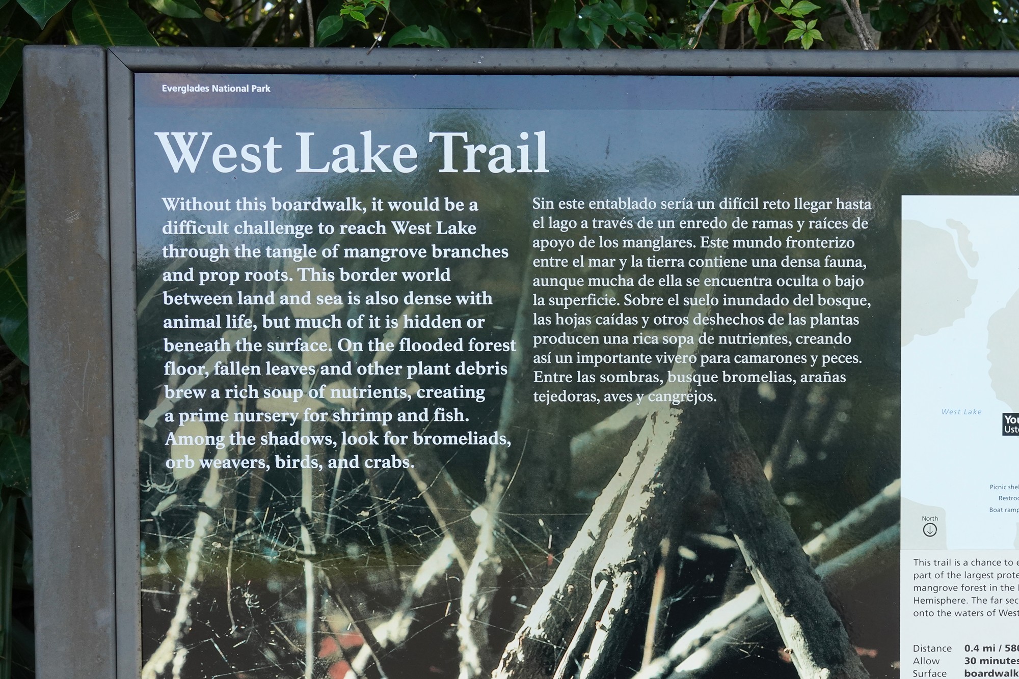 Everglades National Park (50)