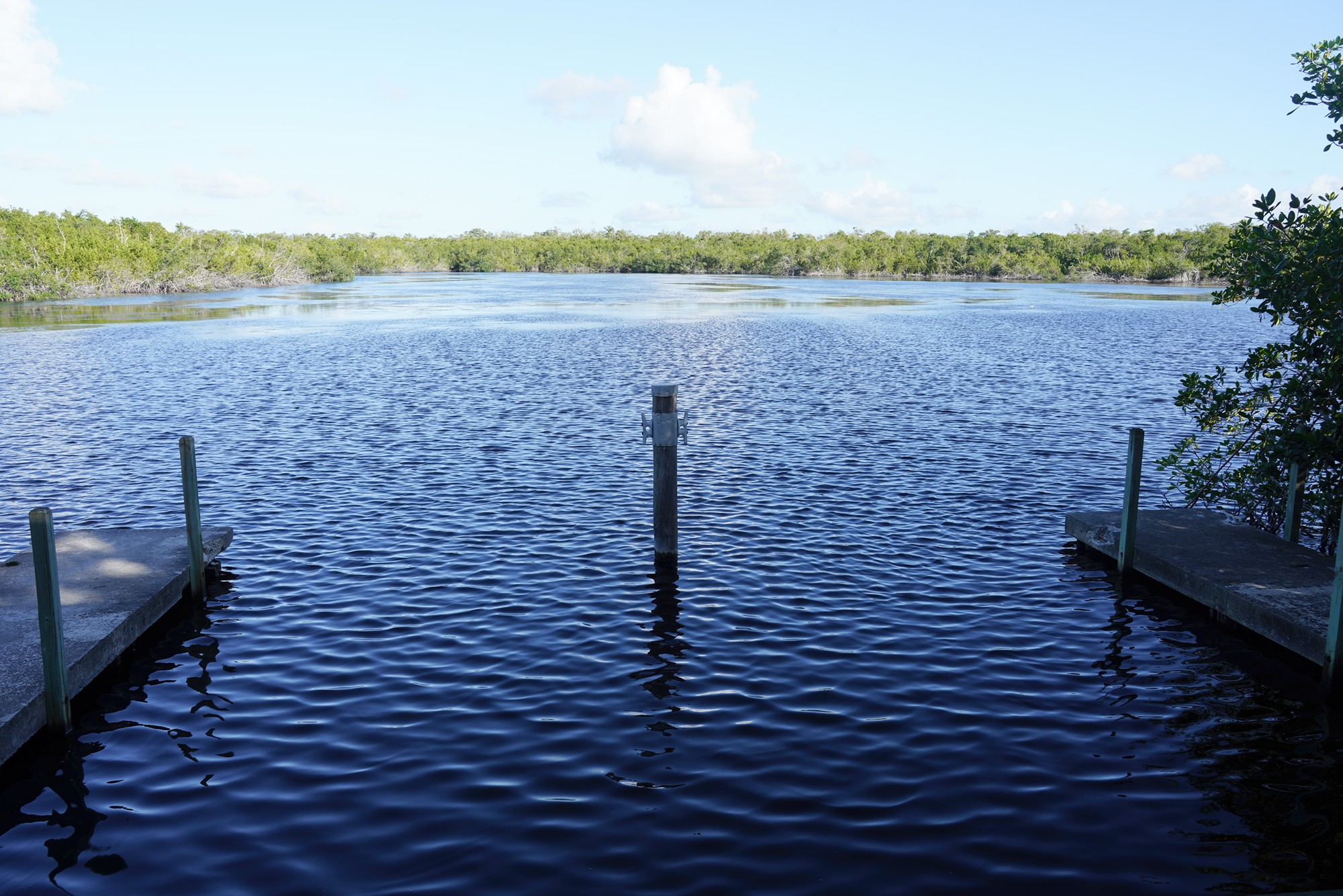 Everglades National Park (51)