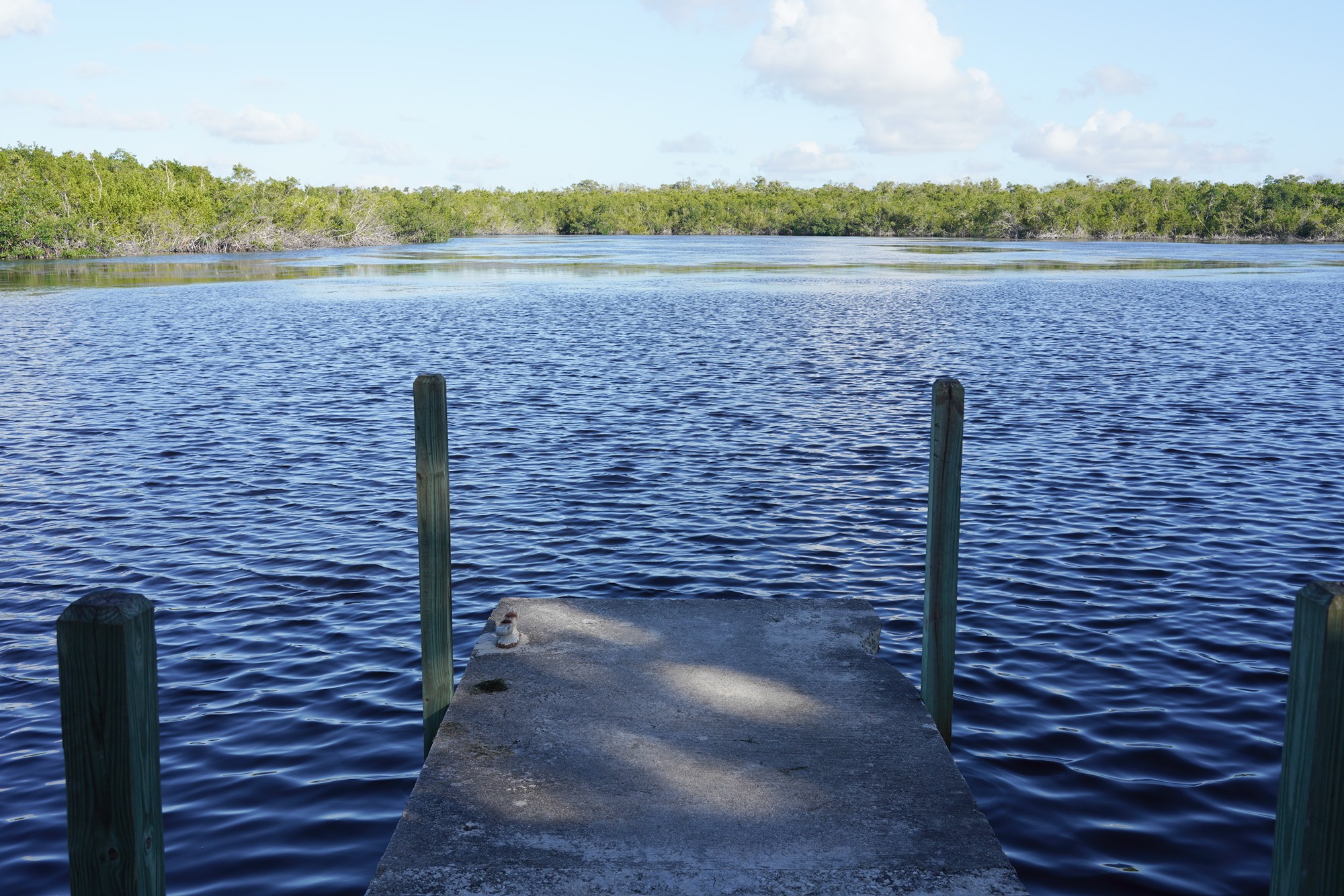 Everglades National Park (52)
