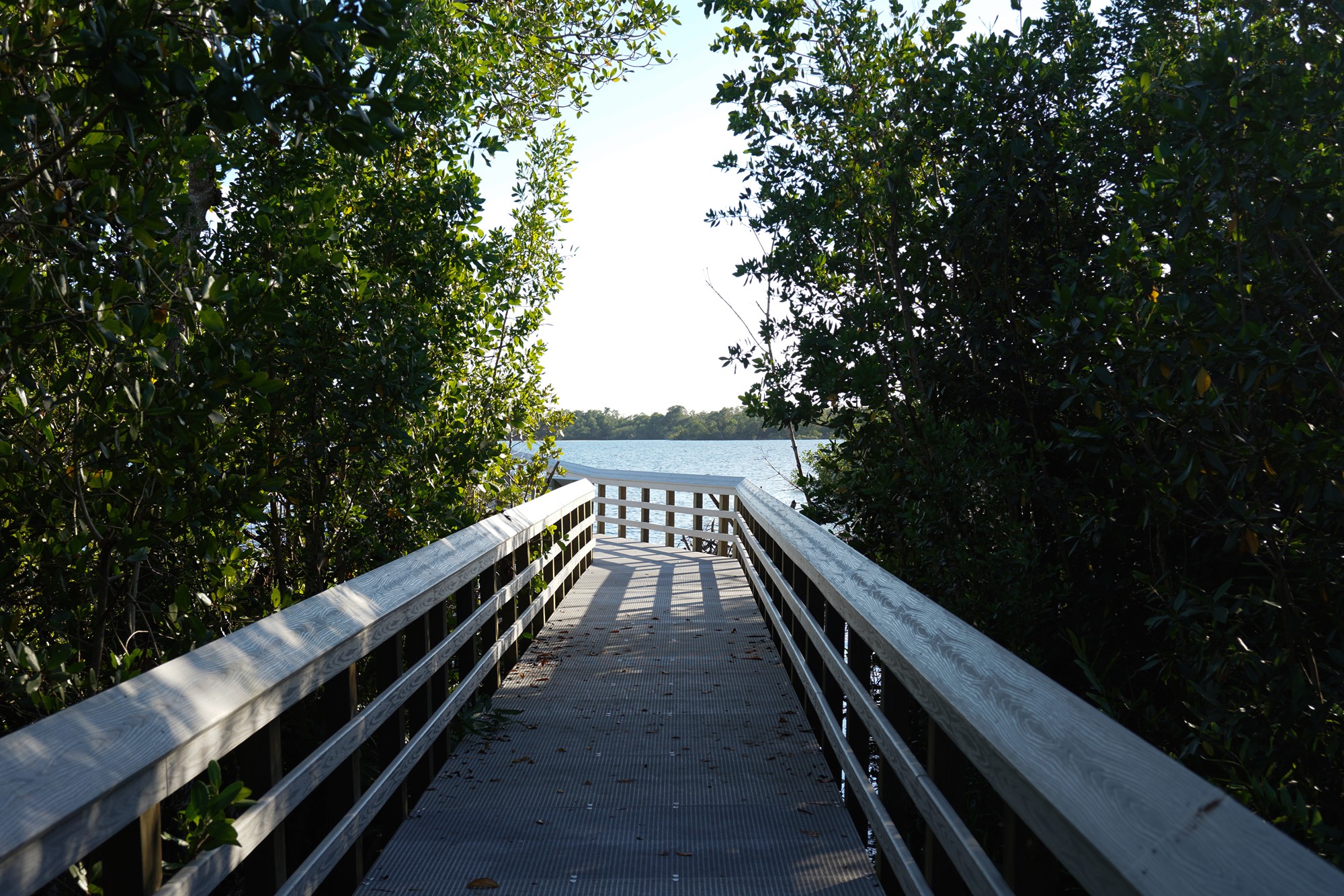 Everglades National Park (59)