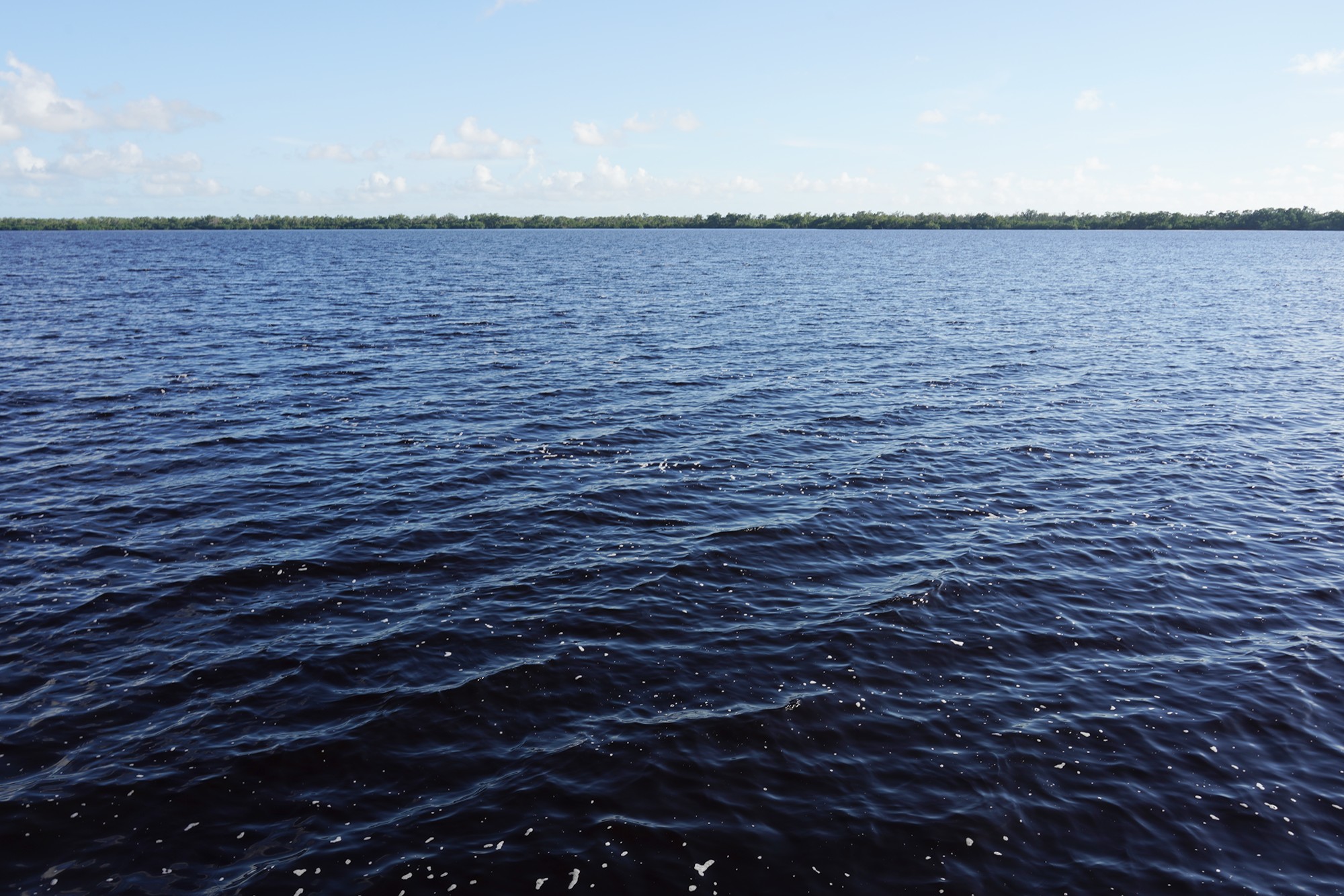 Everglades National Park (63)