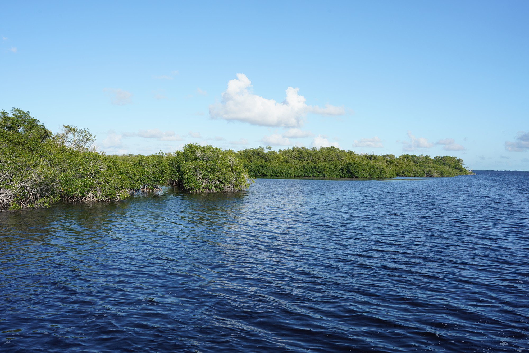 Everglades National Park (64)