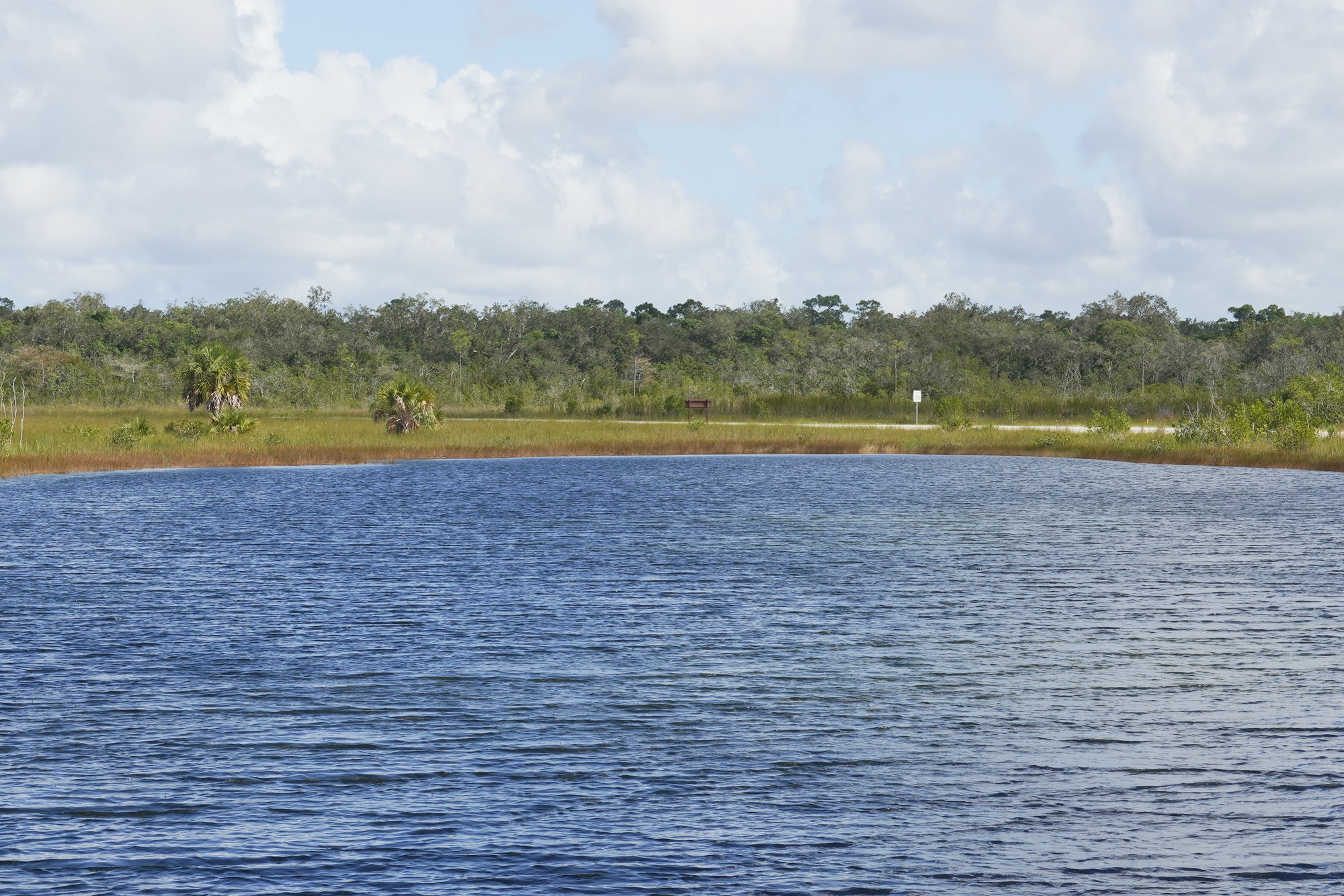 Everglades National Park (7)