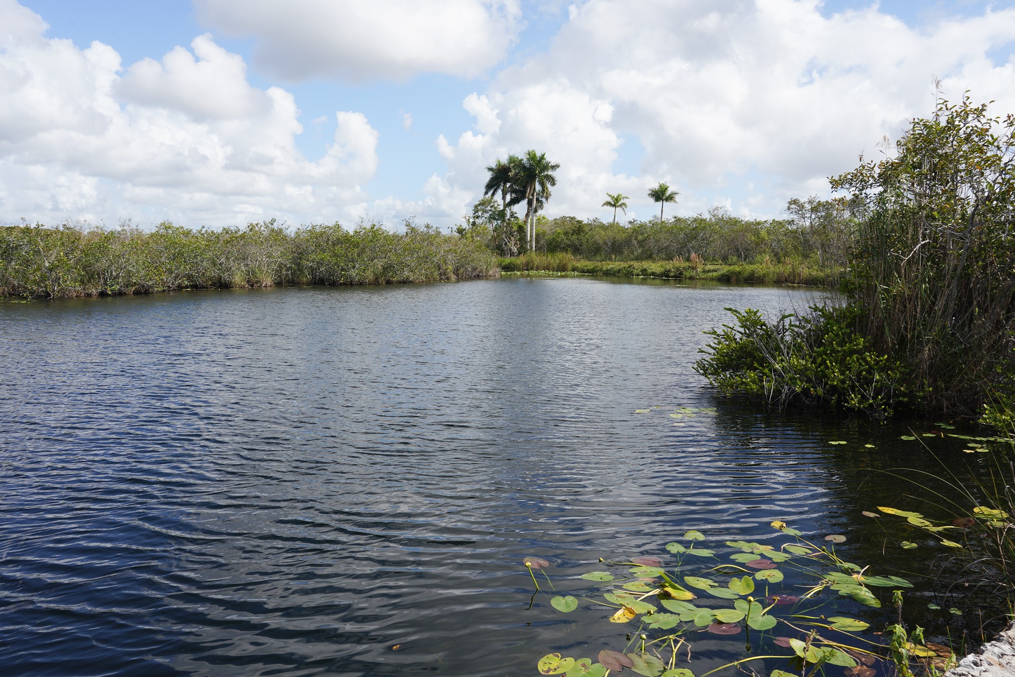 Everglades National Park (9)