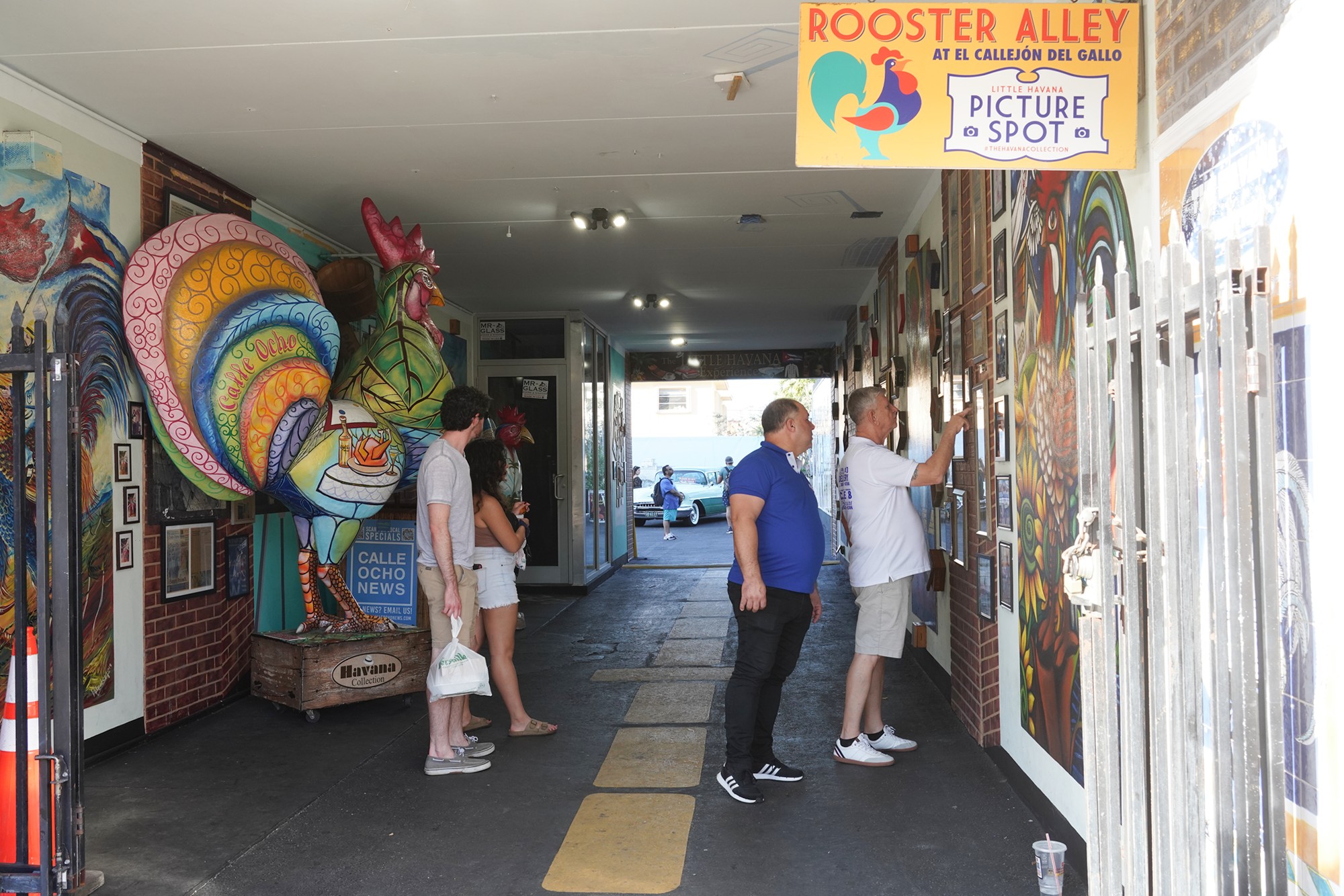 Little Havana (37)