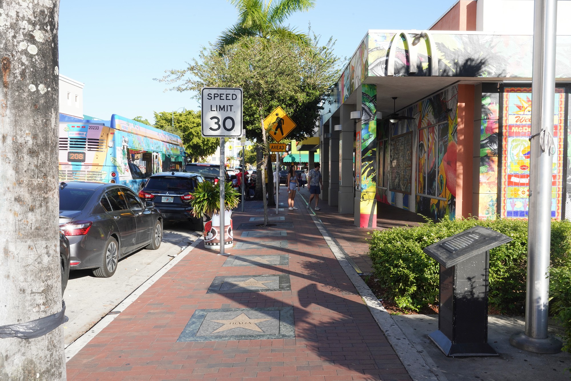Little Havana (40)
