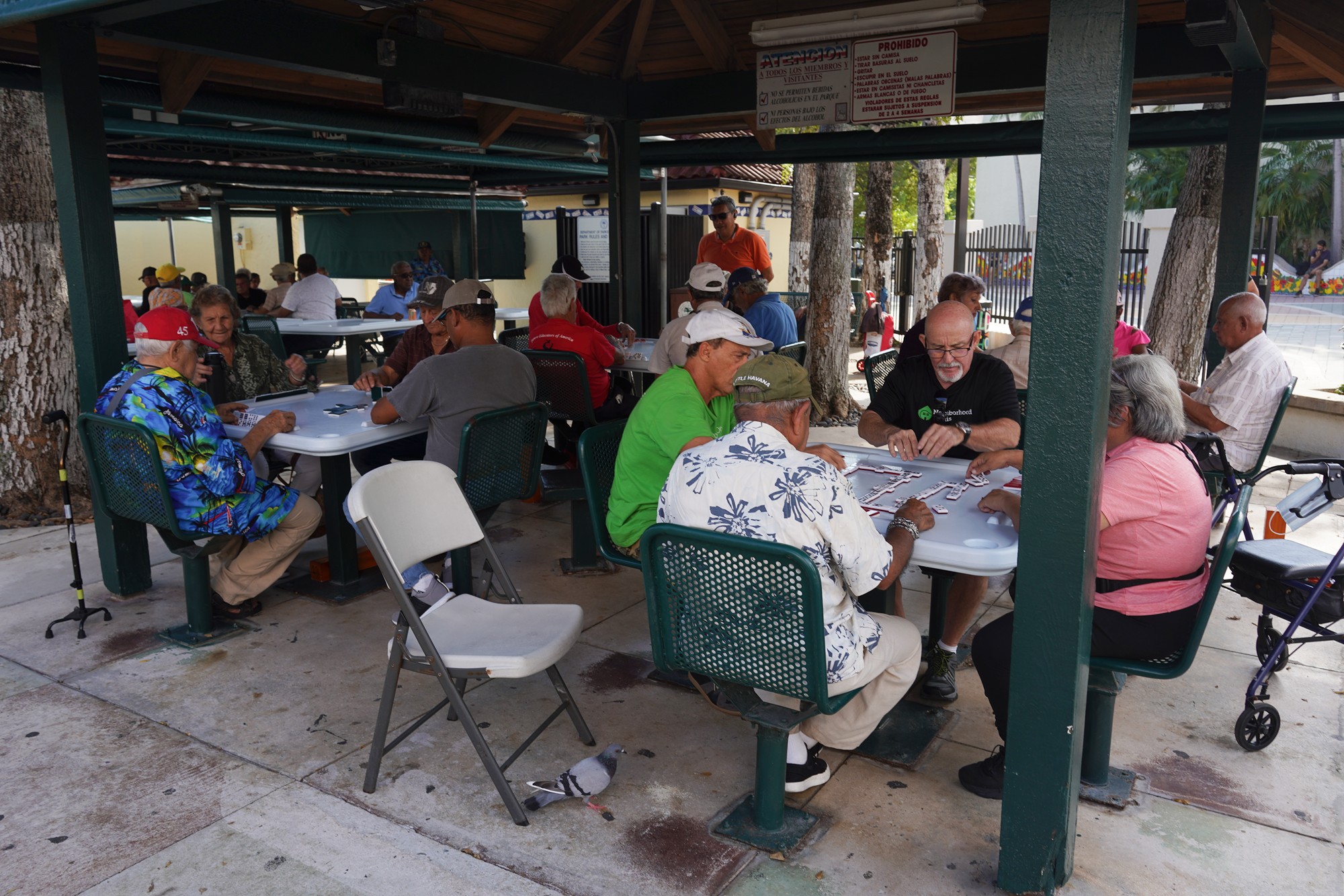 Little Havana (9)