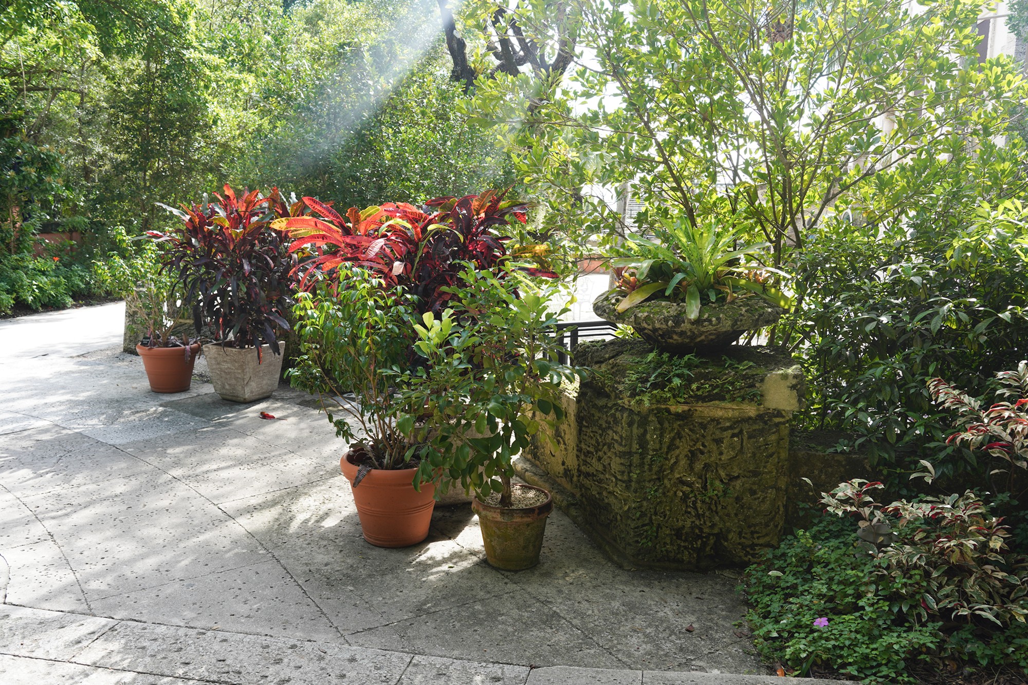 Vizcaya Museum & Gardens (10)