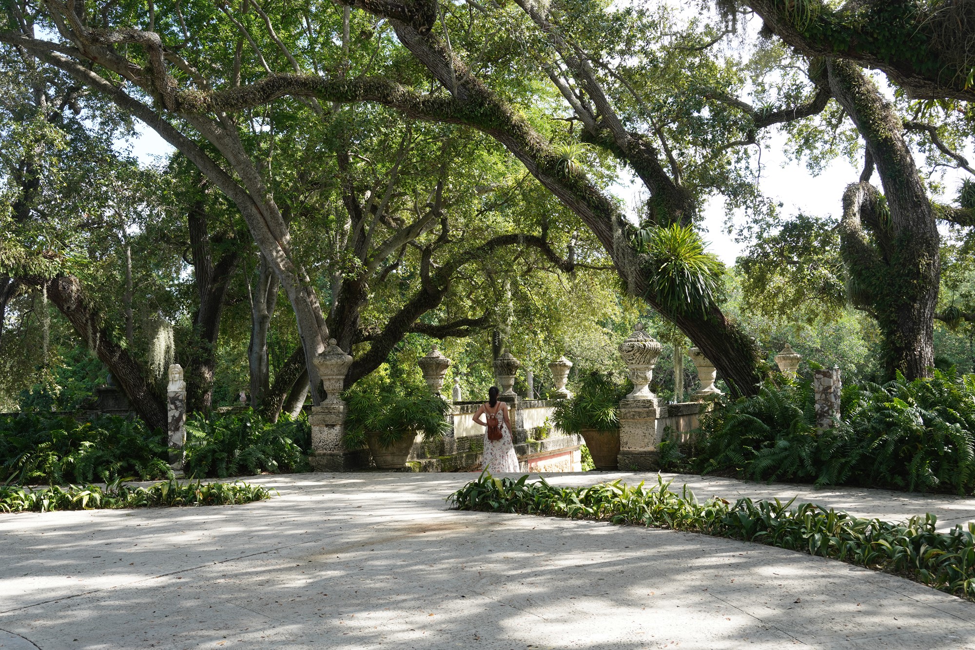 Vizcaya Museum & Gardens (112)