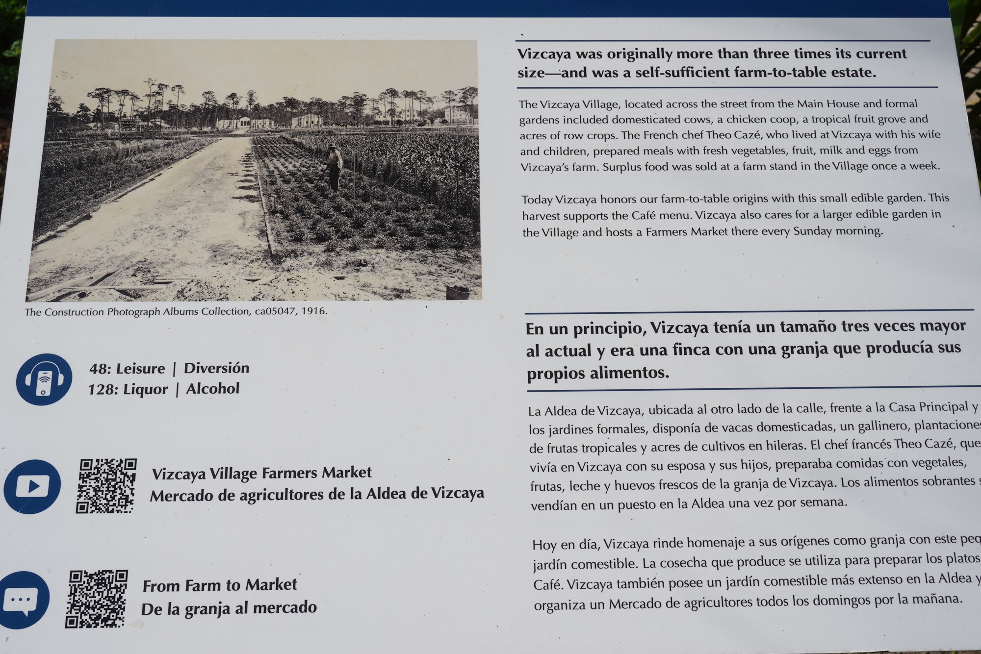 Vizcaya Museum & Gardens (17)