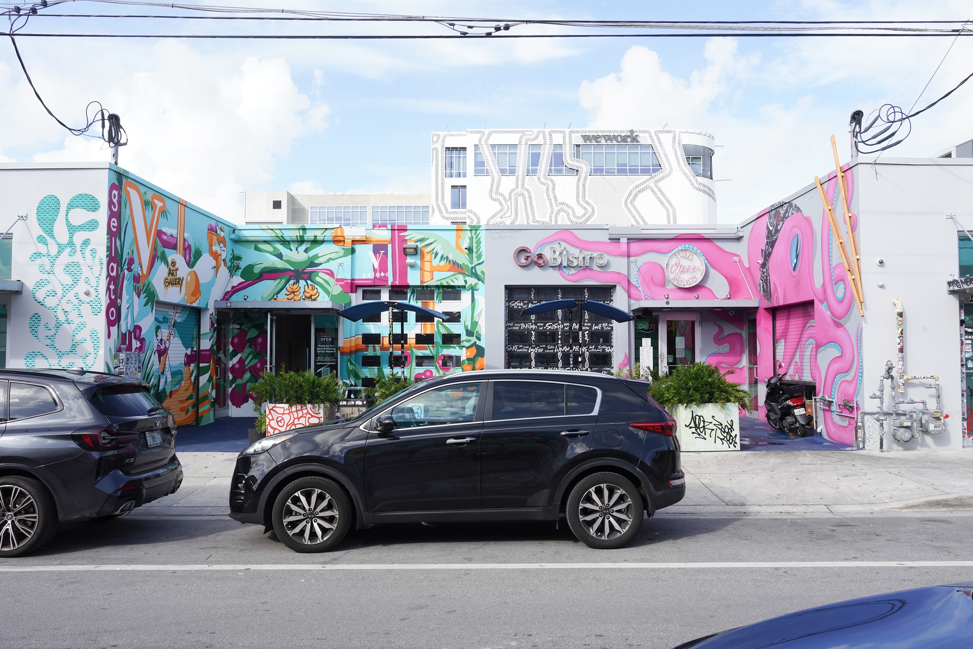 Wynwood Walls (3)