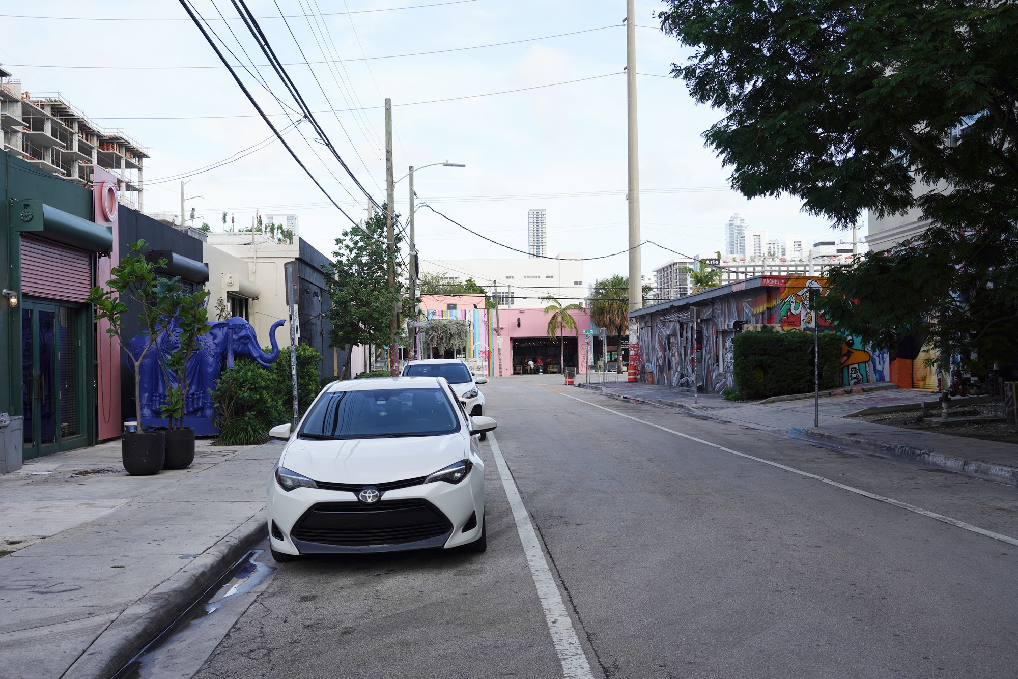 Wynwood Walls (41)