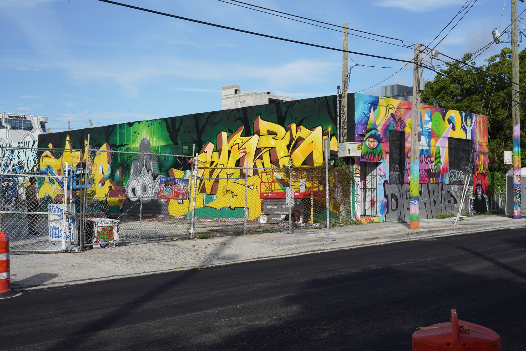 Wynwood Walls (45)