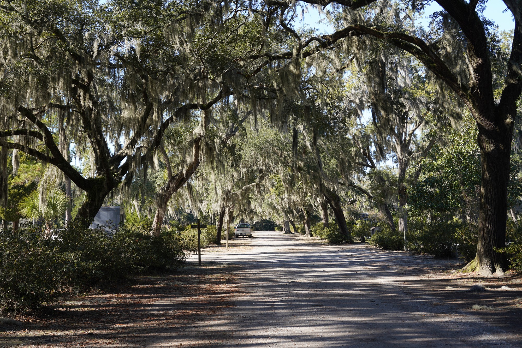 Bonaventure Cemetery (12)