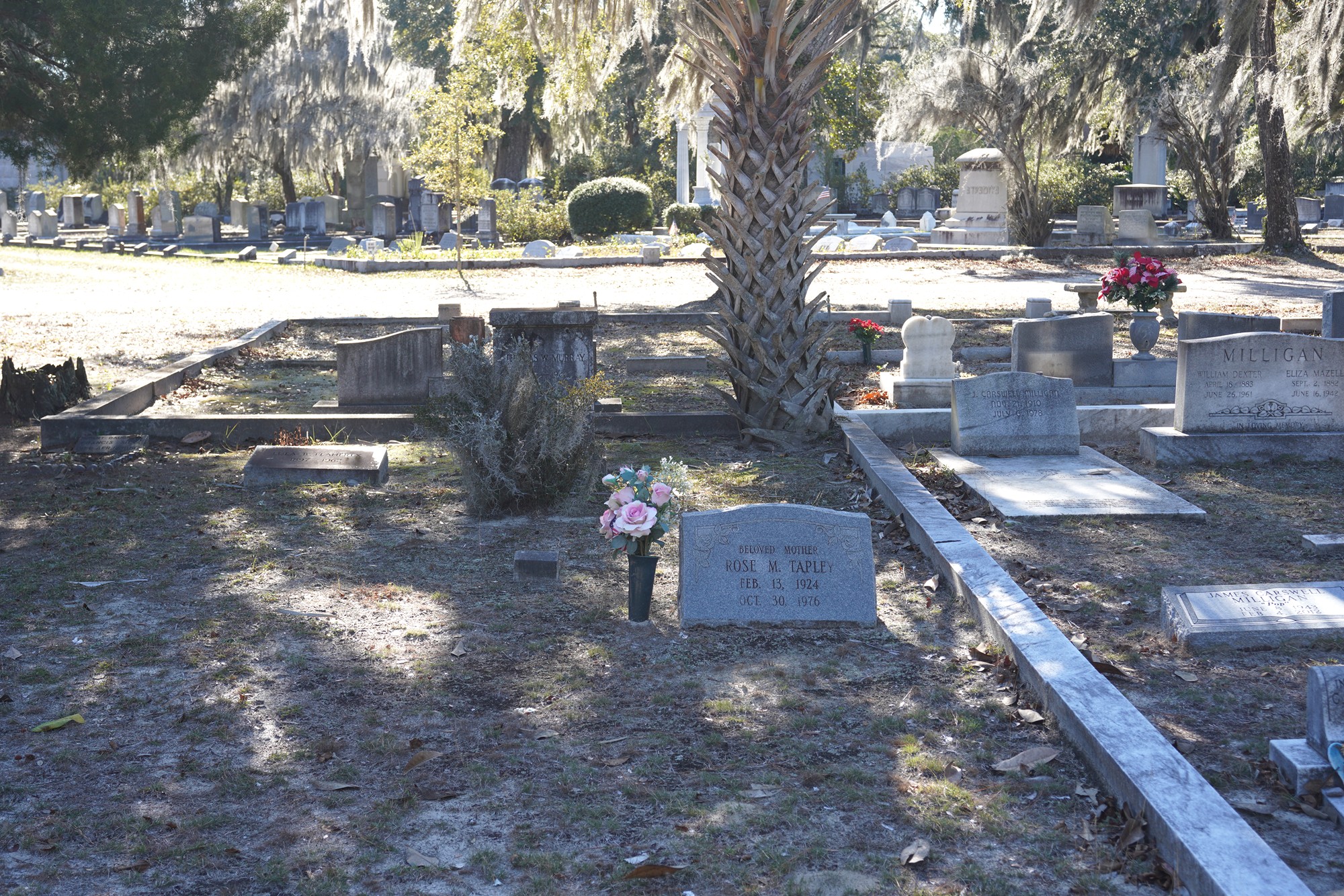 Bonaventure Cemetery (14)