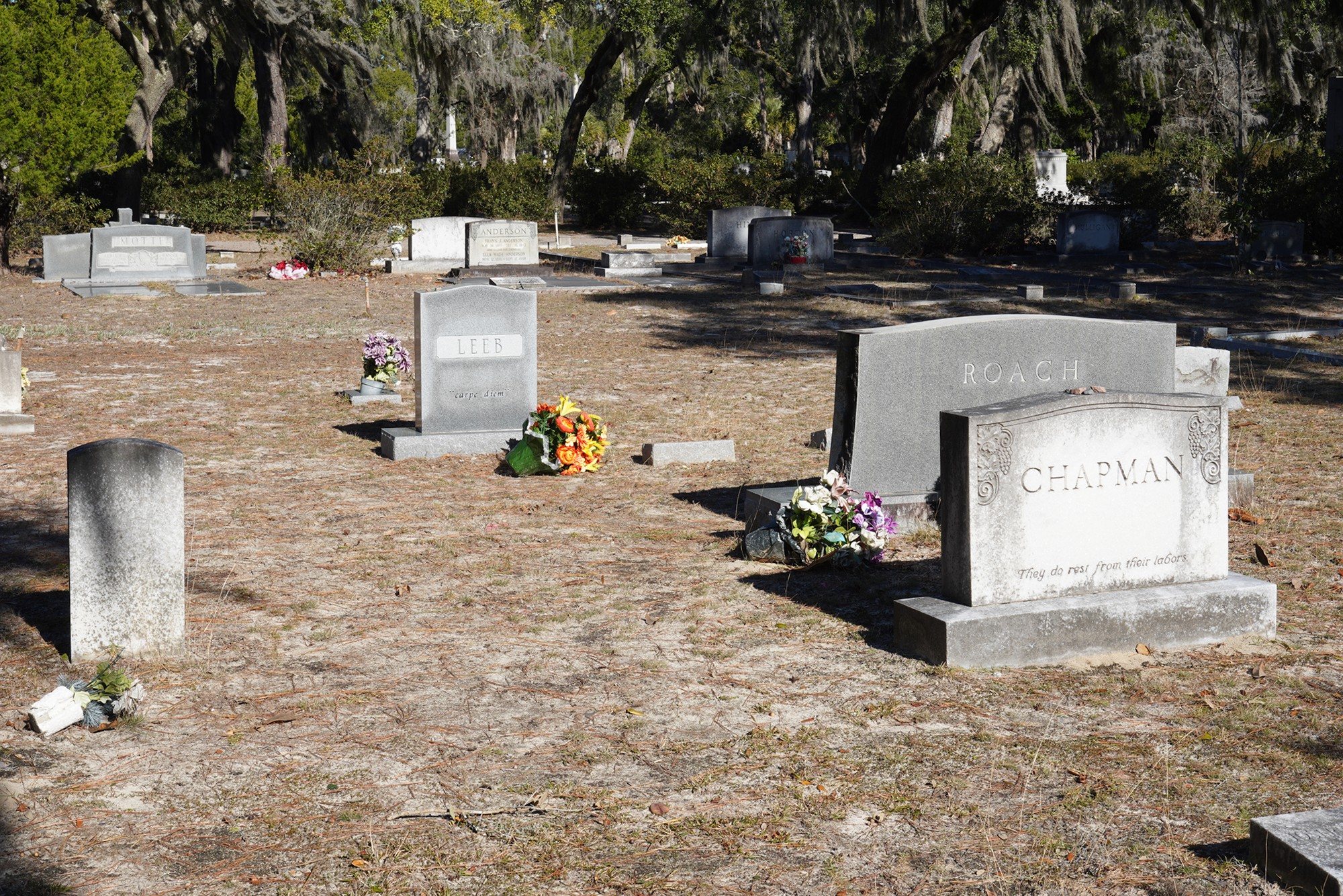 Bonaventure Cemetery (17)