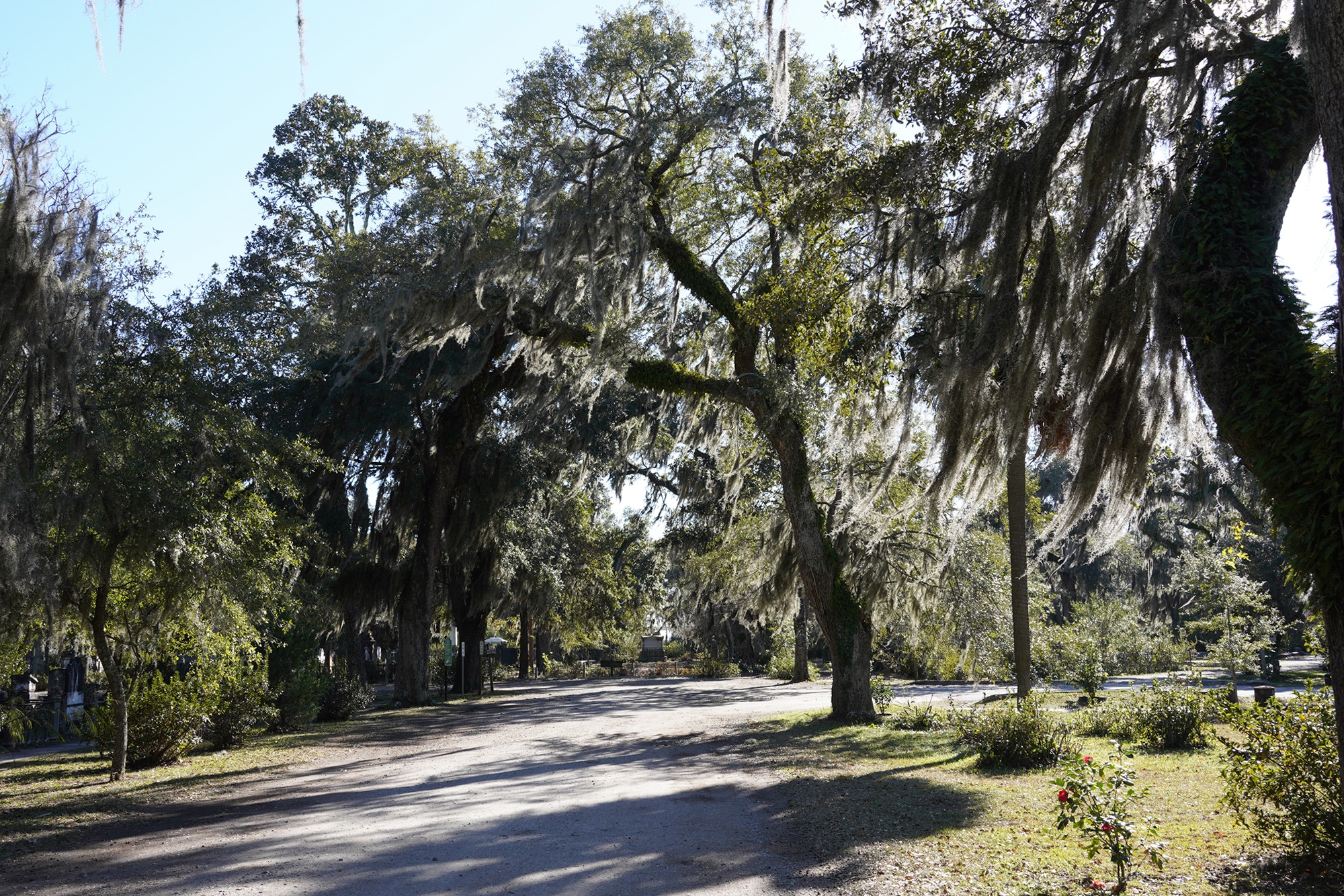 Bonaventure Cemetery (23)