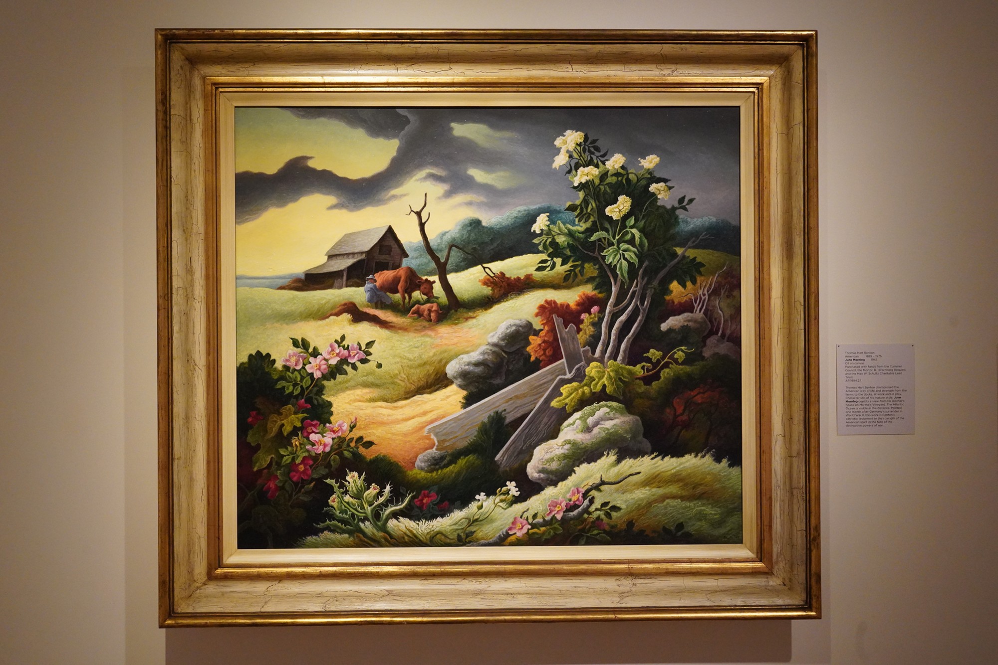 Cummer Museum of Art & Gardens (19)