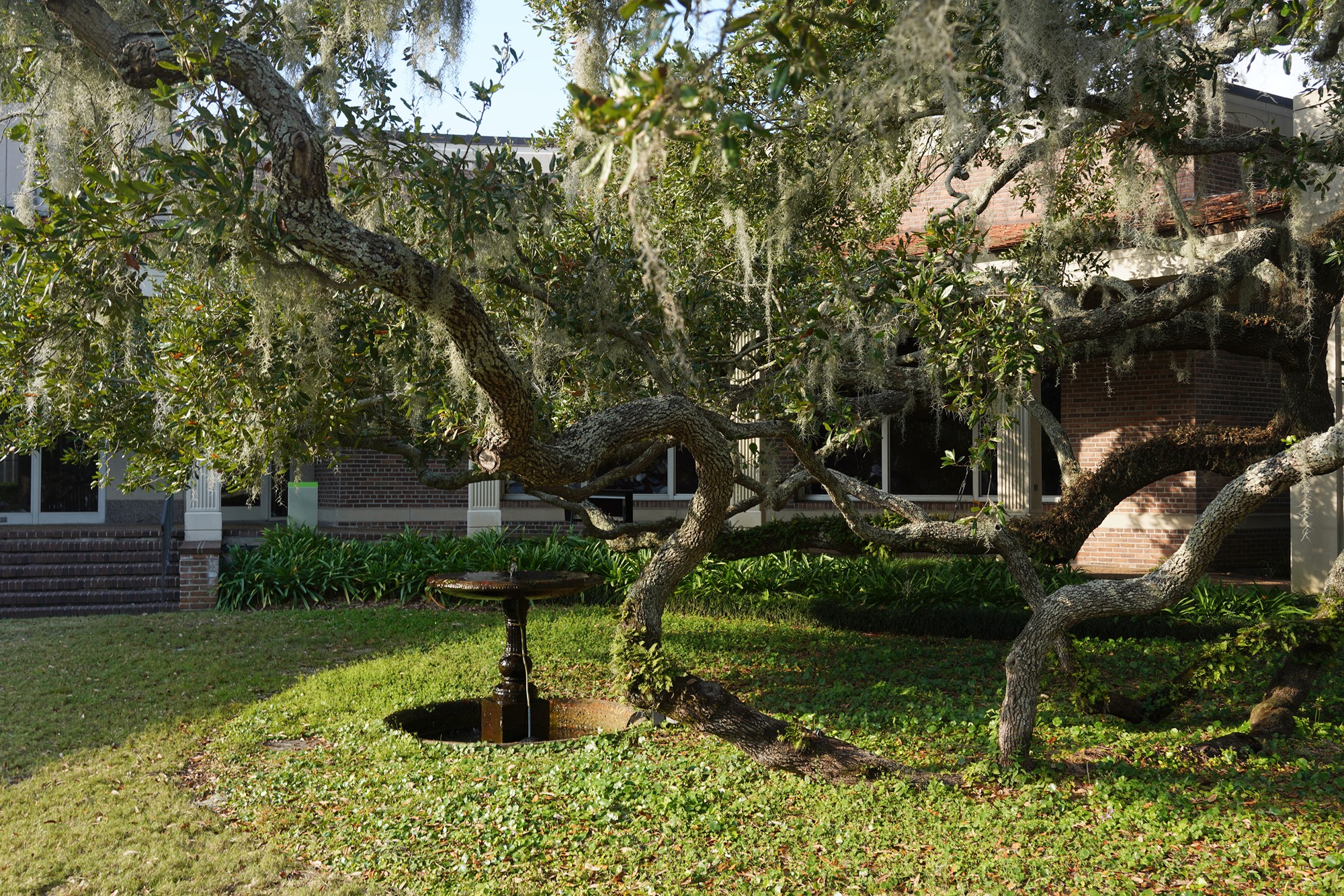 Cummer Museum of Art & Gardens (52)