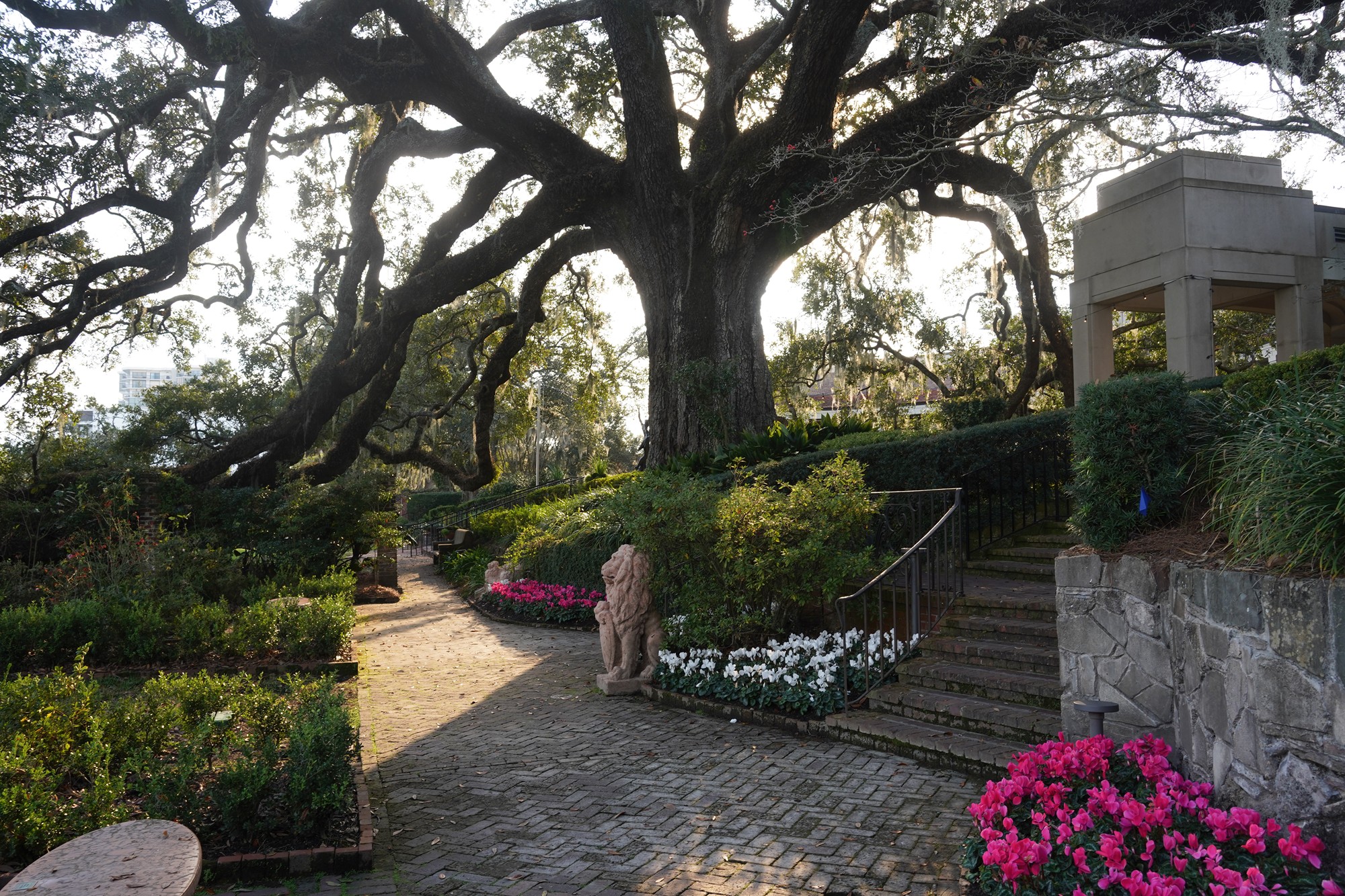 Cummer Museum of Art & Gardens (58)