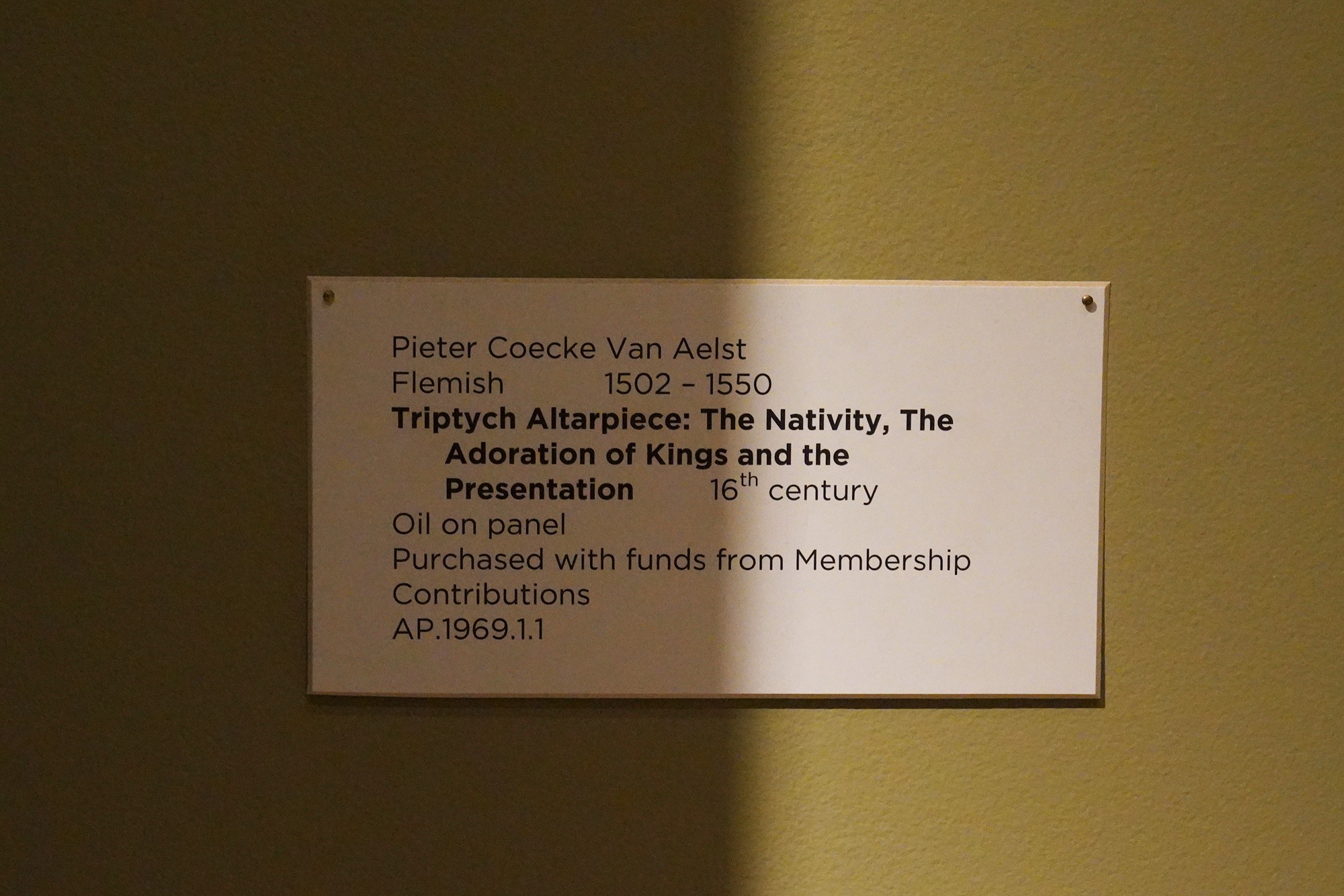 Cummer Museum of Art & Gardens (81)