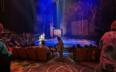 Cirque du Soleil – “Drawn to Life” at Disney Springs, Lake Buena Vista, Florida, USA