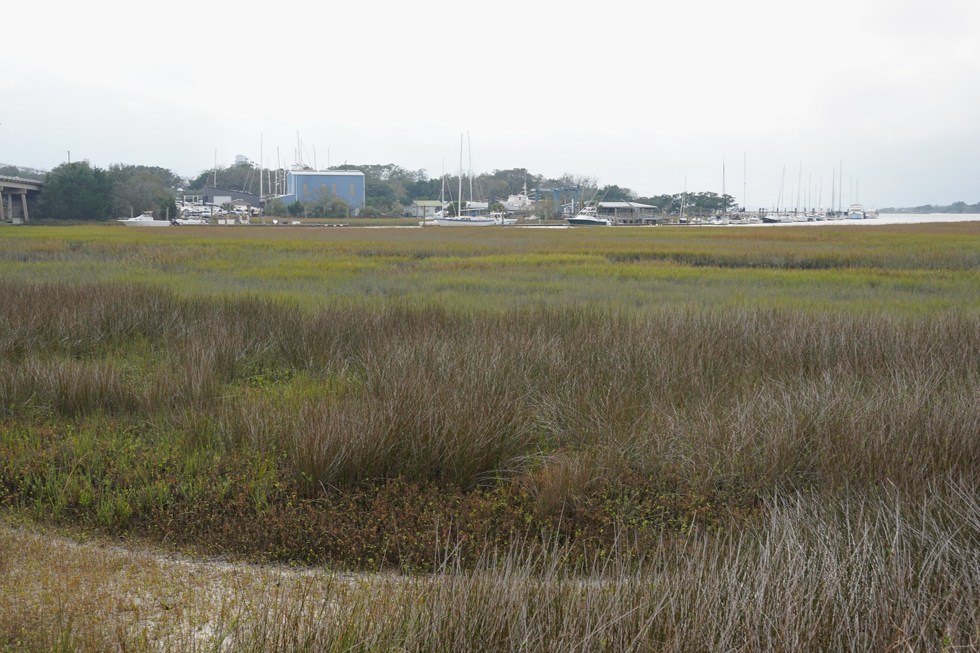 Fort Clinch (1)