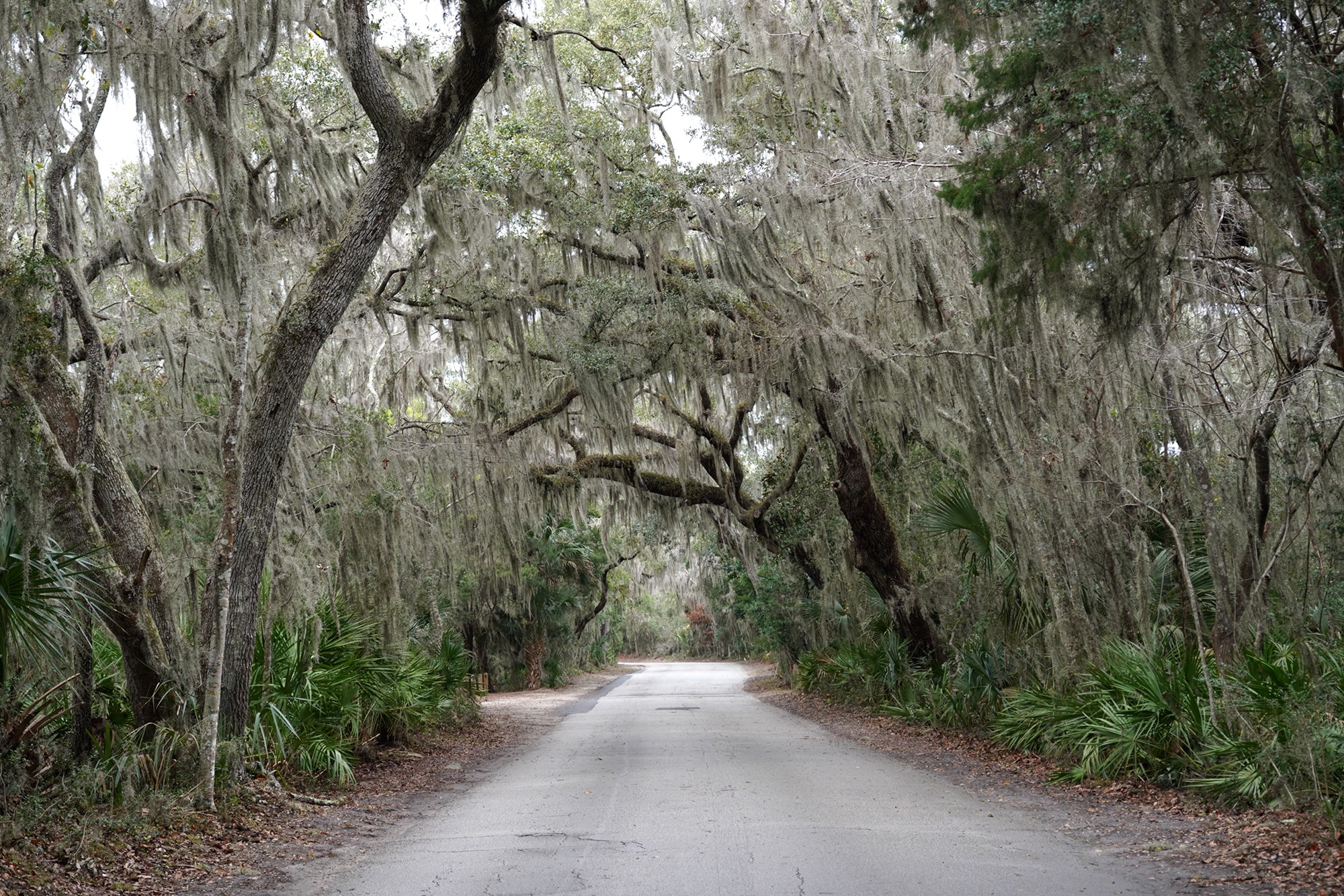 Fort Clinch (10)