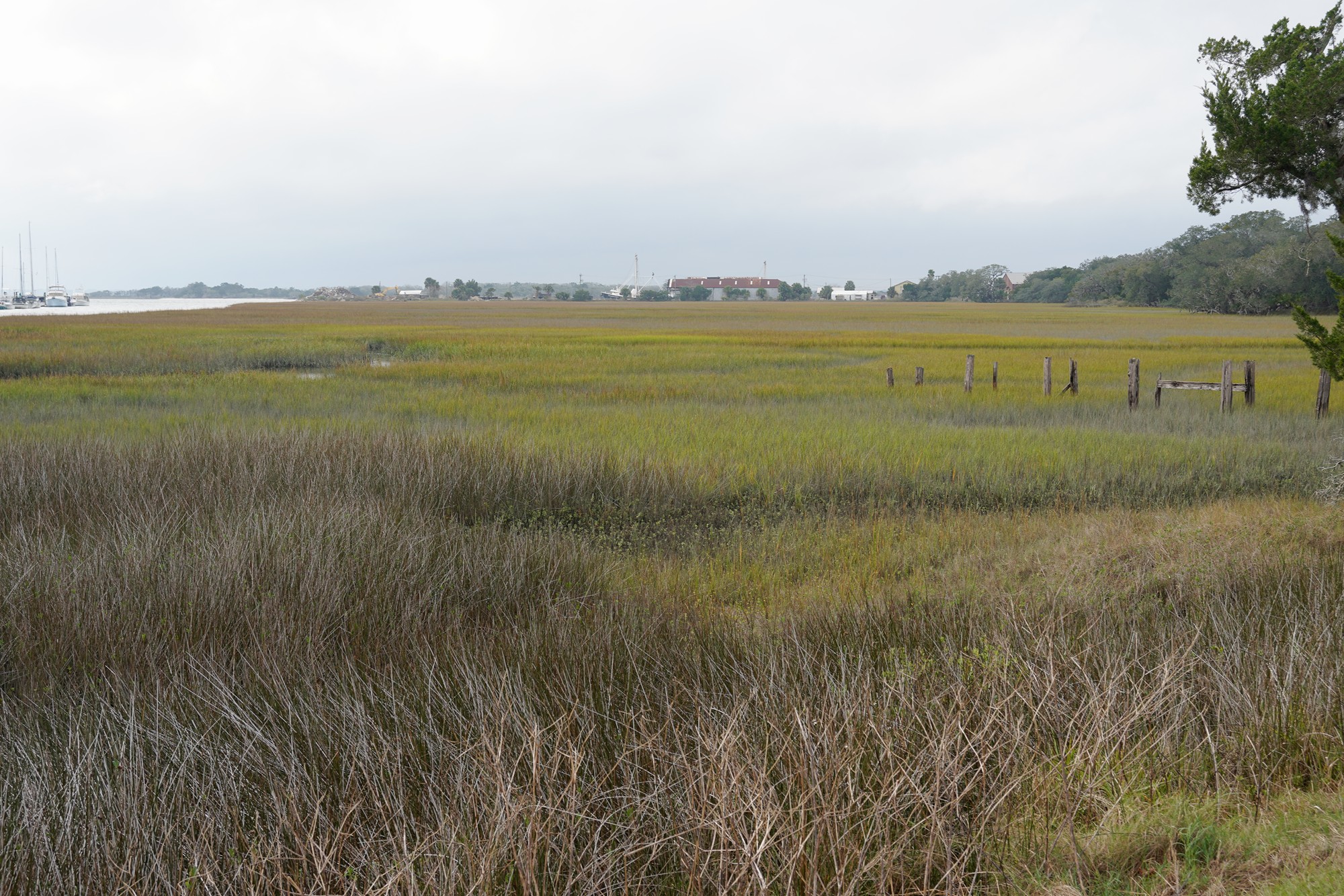 Fort Clinch (2)