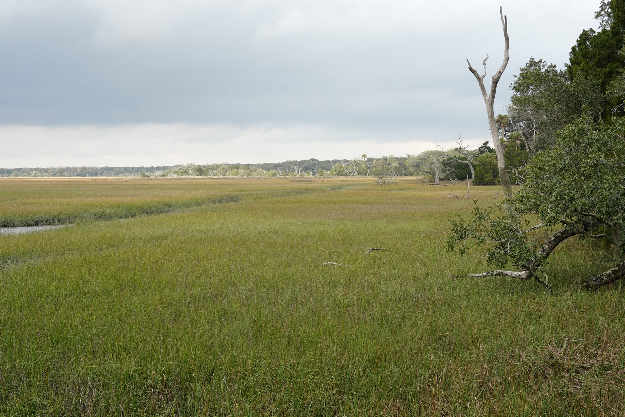 Fort Clinch (8)