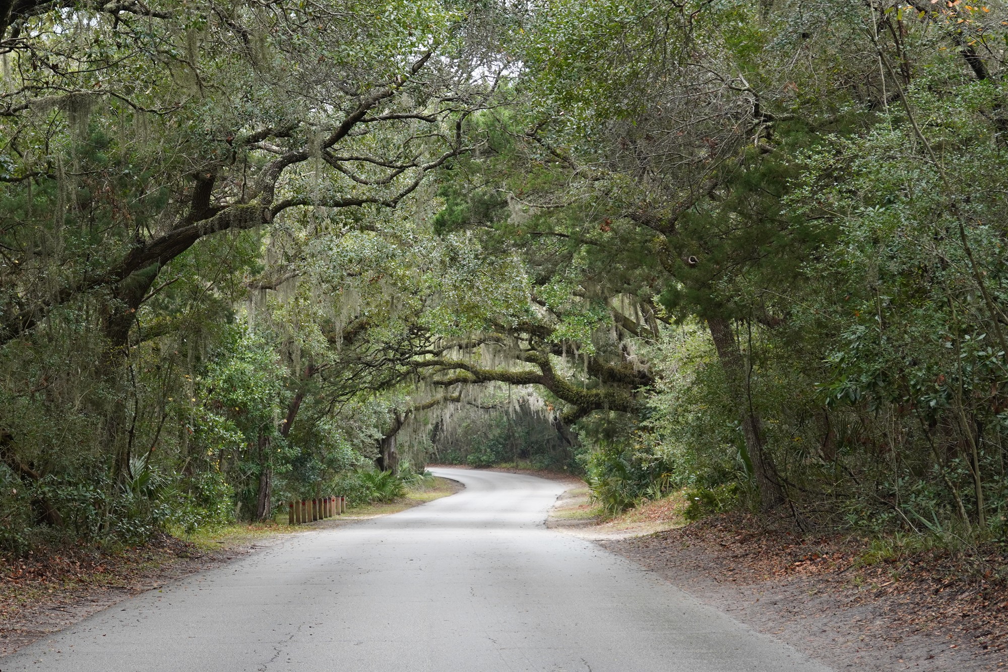 Fort Clinch (9)