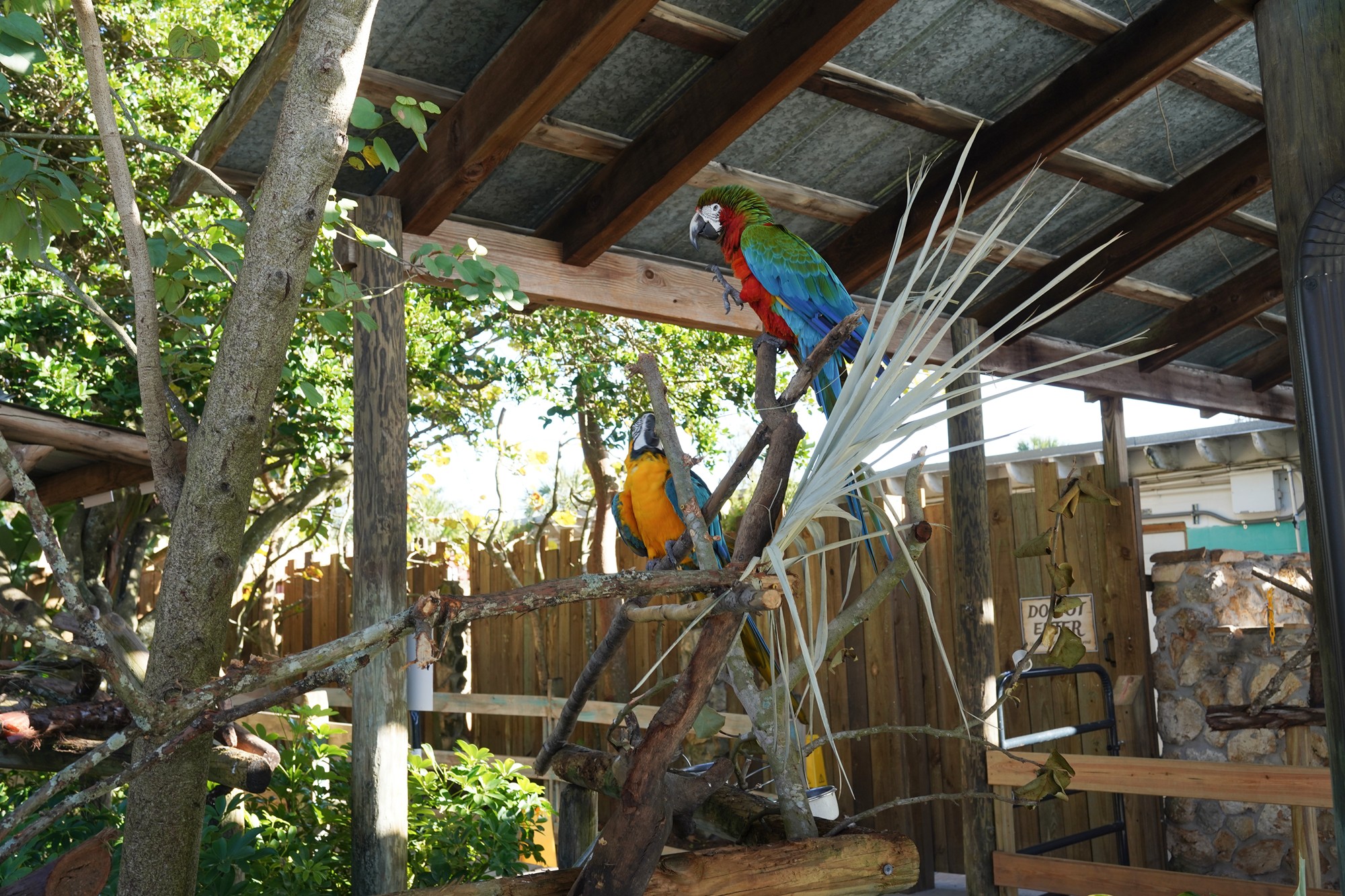 Gatorland (10)