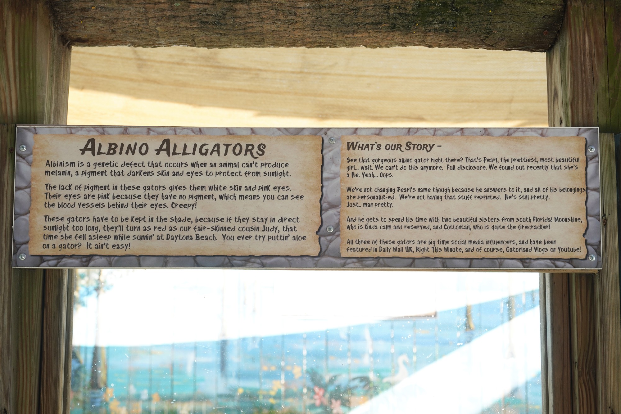 Gatorland (11)