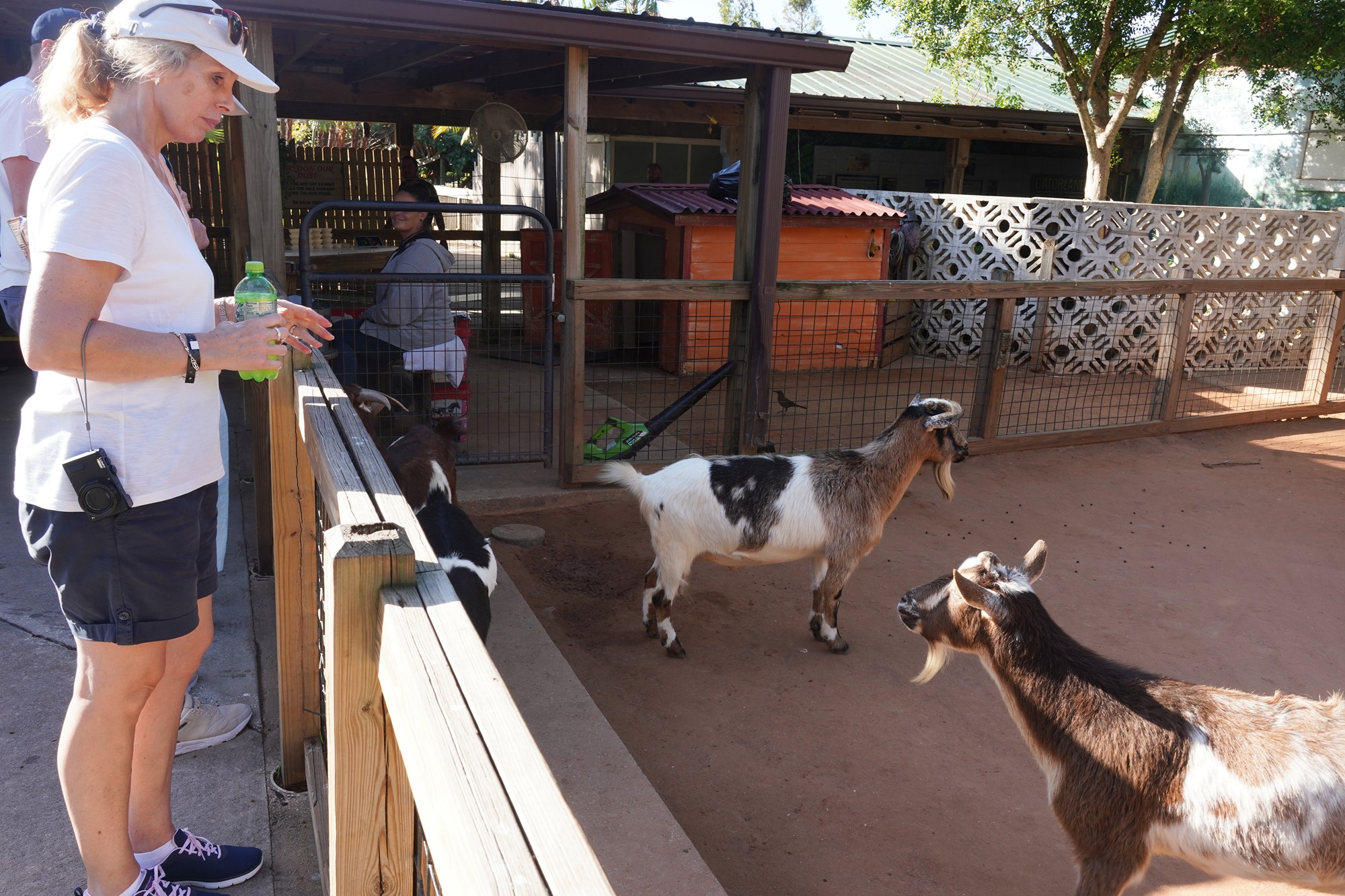Gatorland (13)