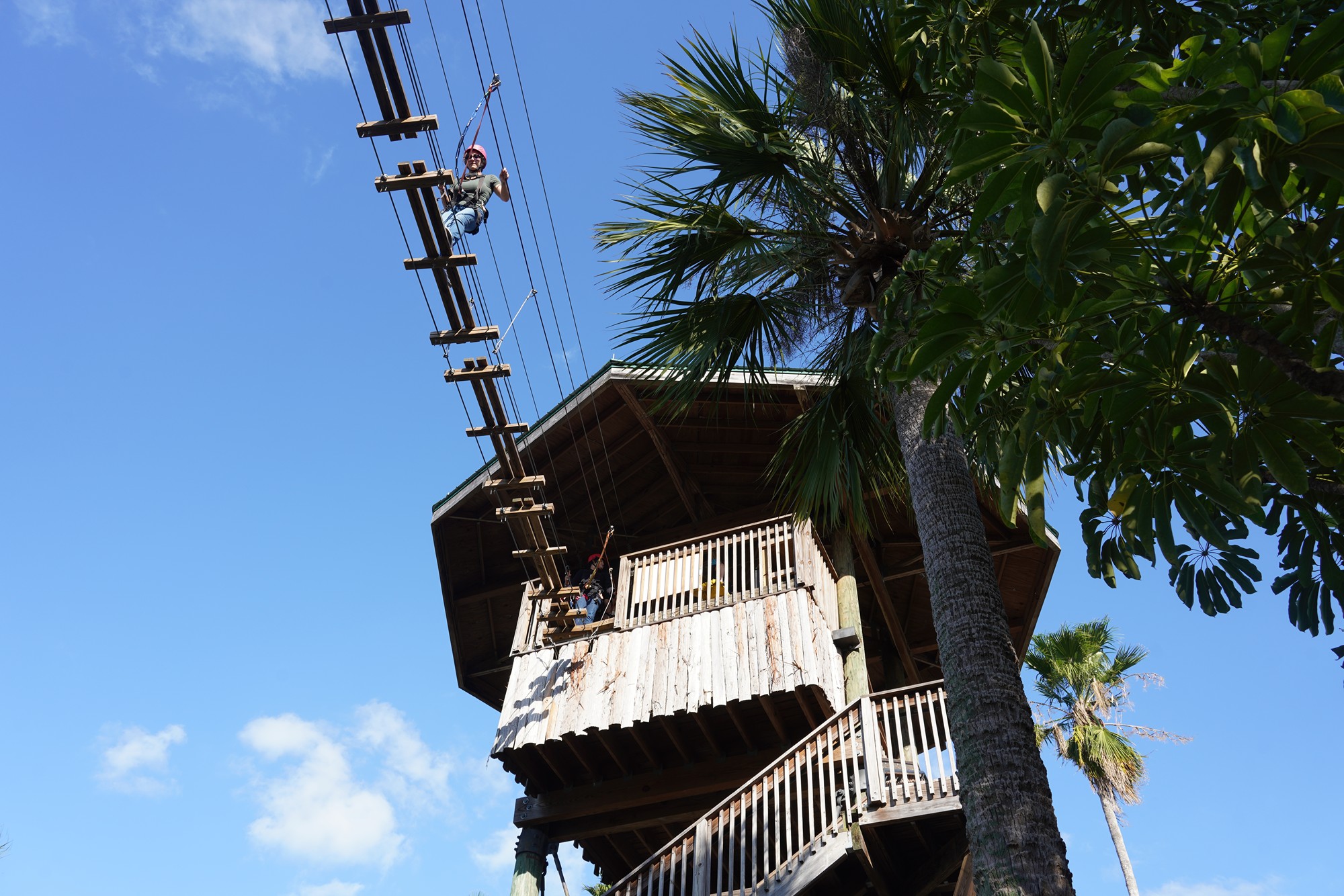 Gatorland (16)