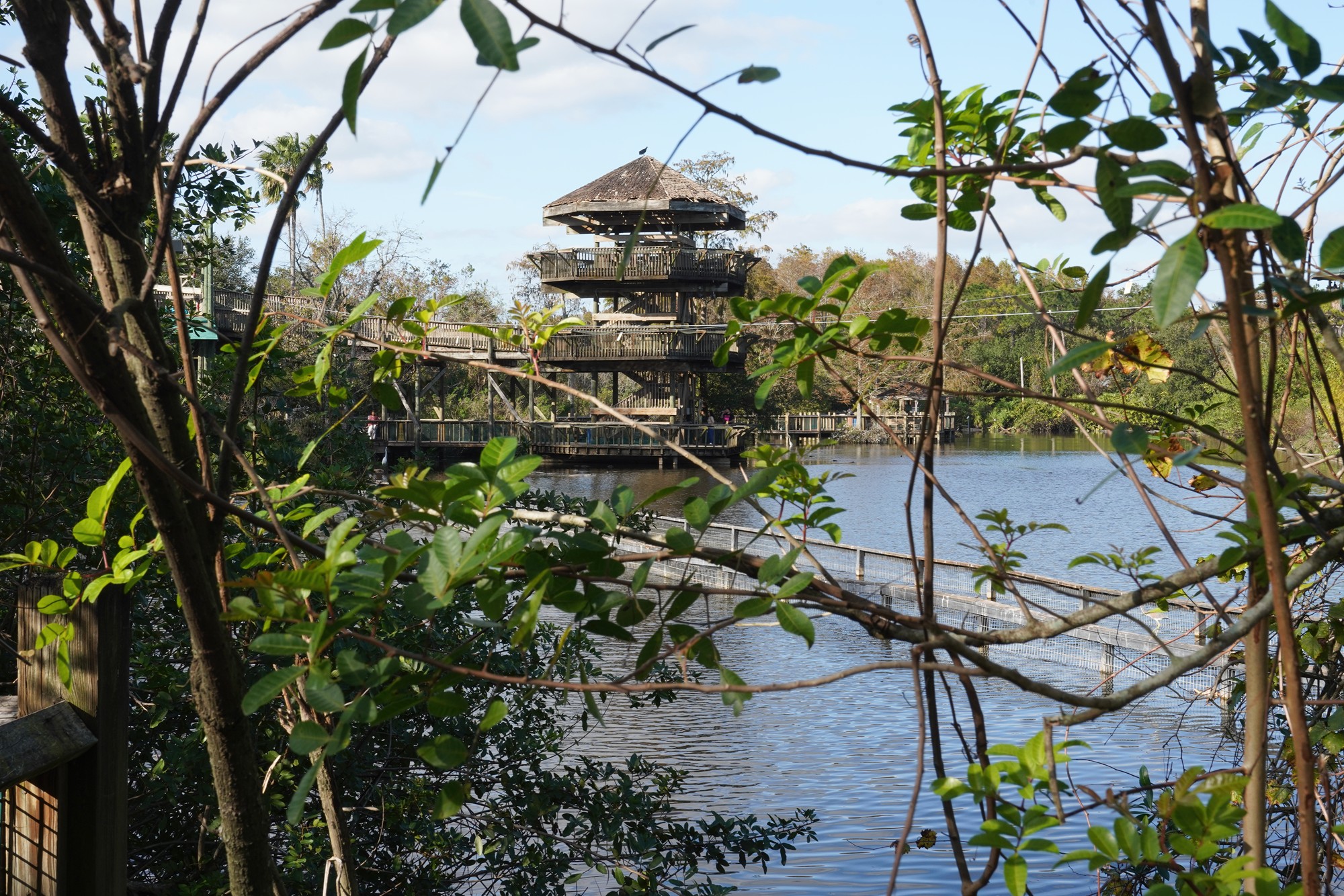 Gatorland (18)