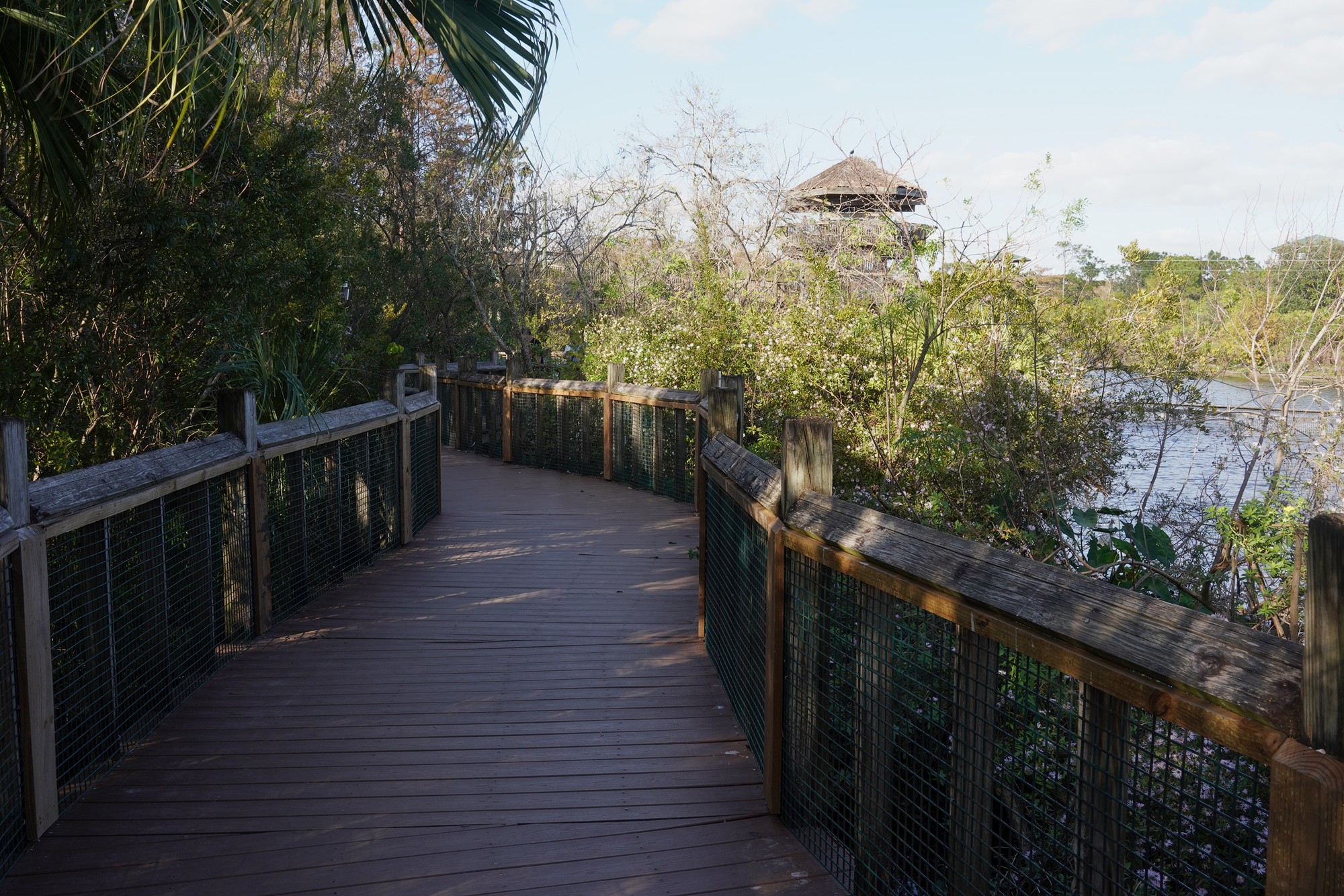 Gatorland (20)