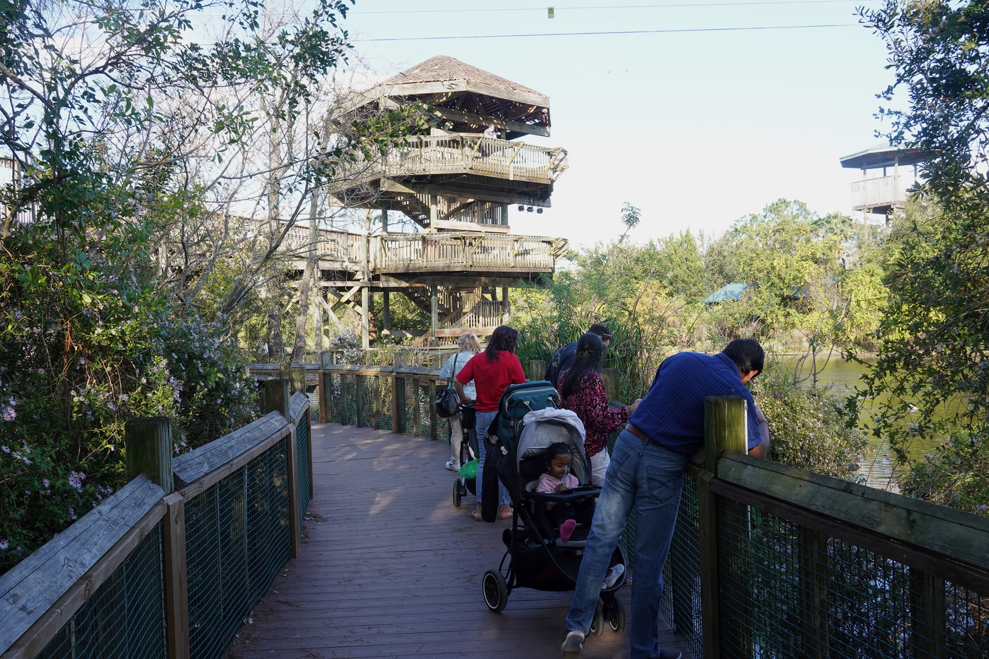 Gatorland (23)