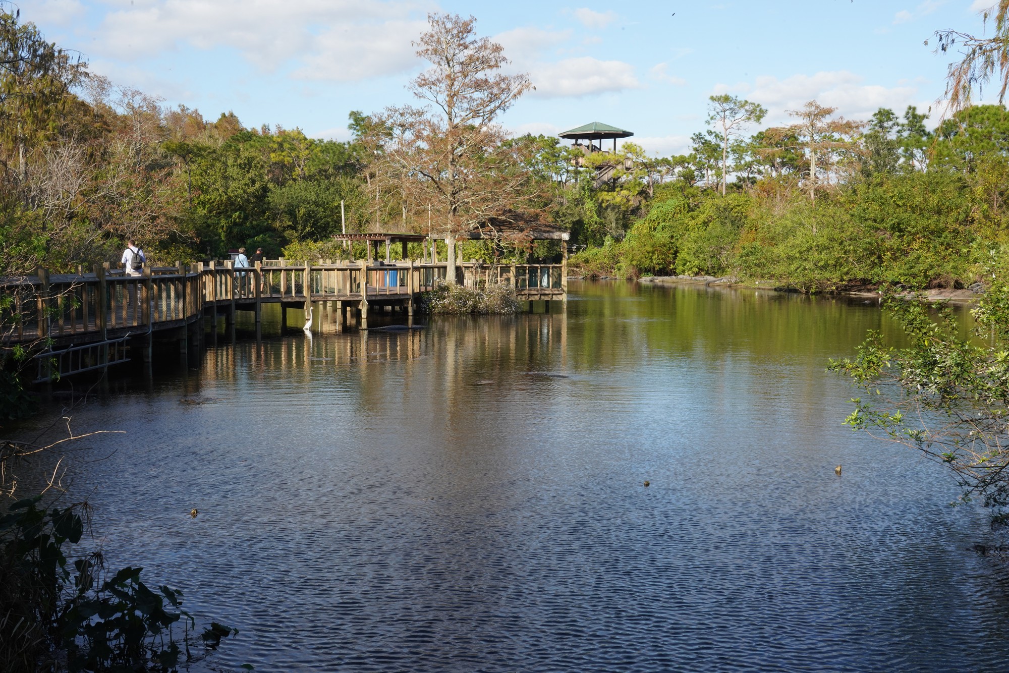 Gatorland (26)