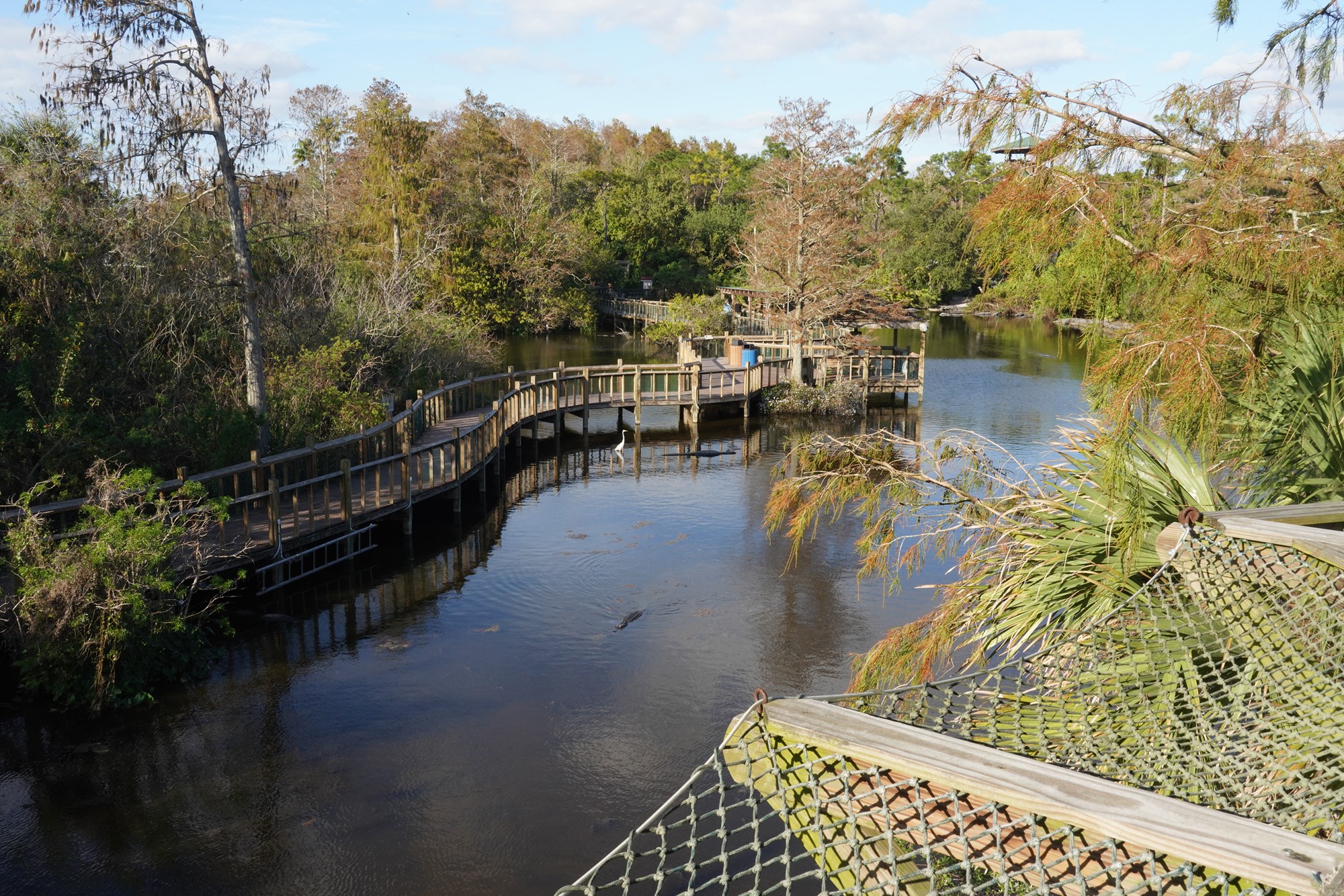 Gatorland (27)