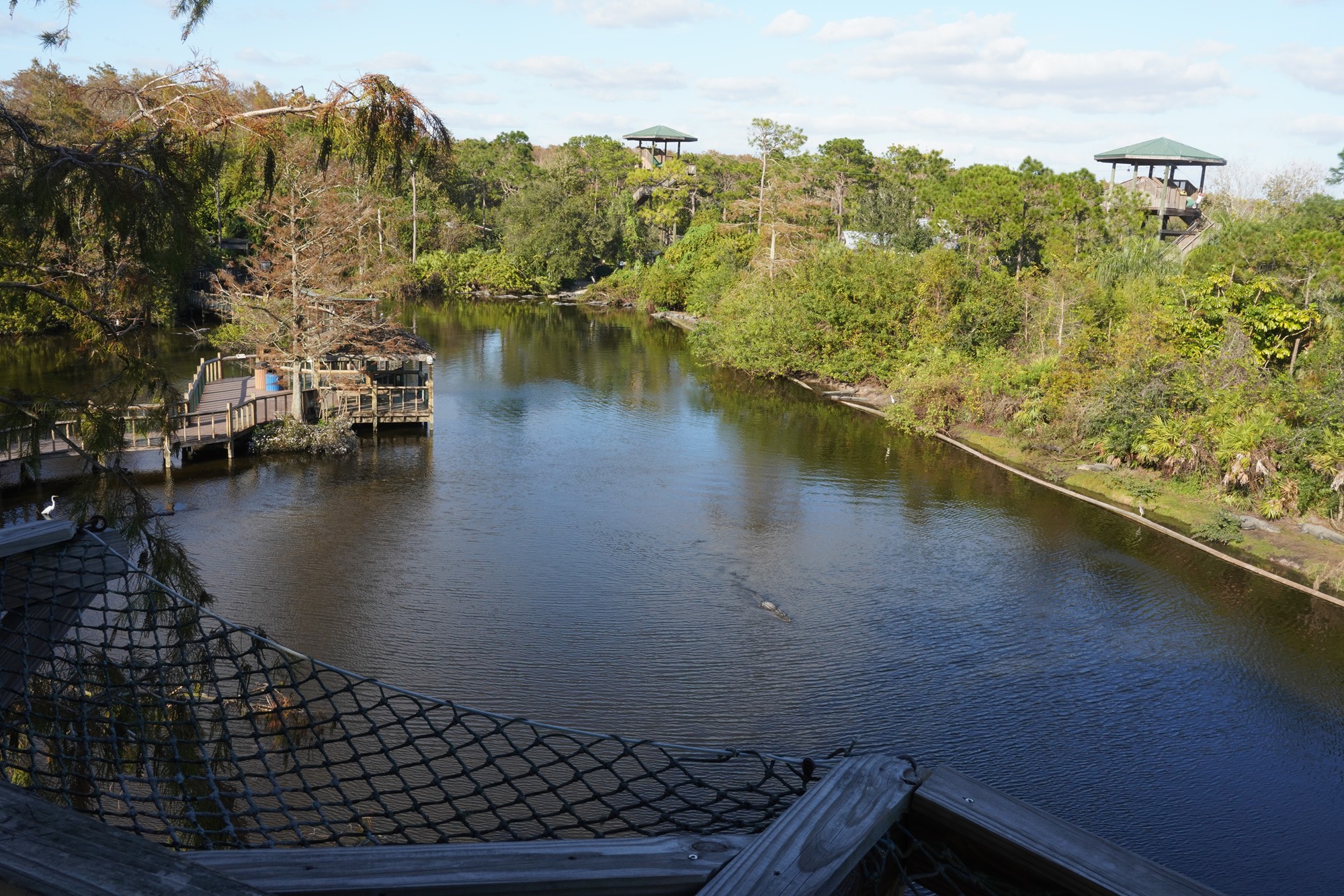 Gatorland (28)