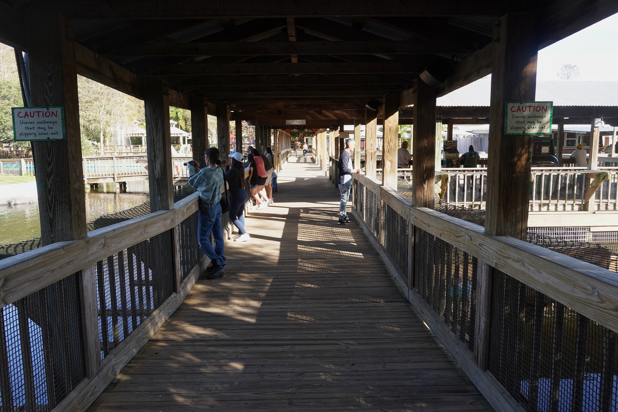 Gatorland (4)